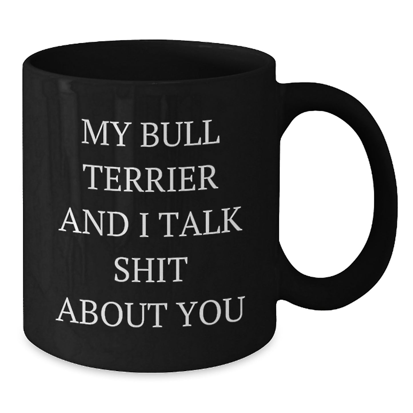 Funny Bull Terrier Dog Gifts - My Bull Terrier And I Talk Shit About You Coffee Mug, Birthday Unique Gifts from Friends to Family - Additional