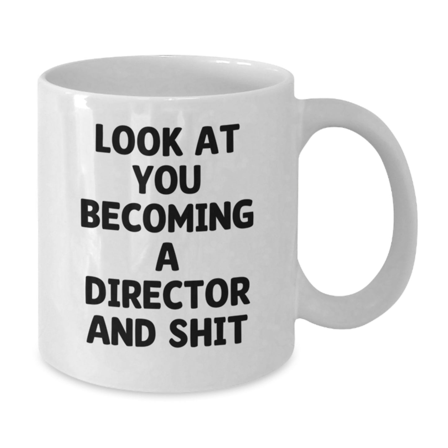 Funny Director Gifts - Look At You Becoming A Director And Shit, White Coffee Mug for Graduation, Gifts from Friends to Director - Additional