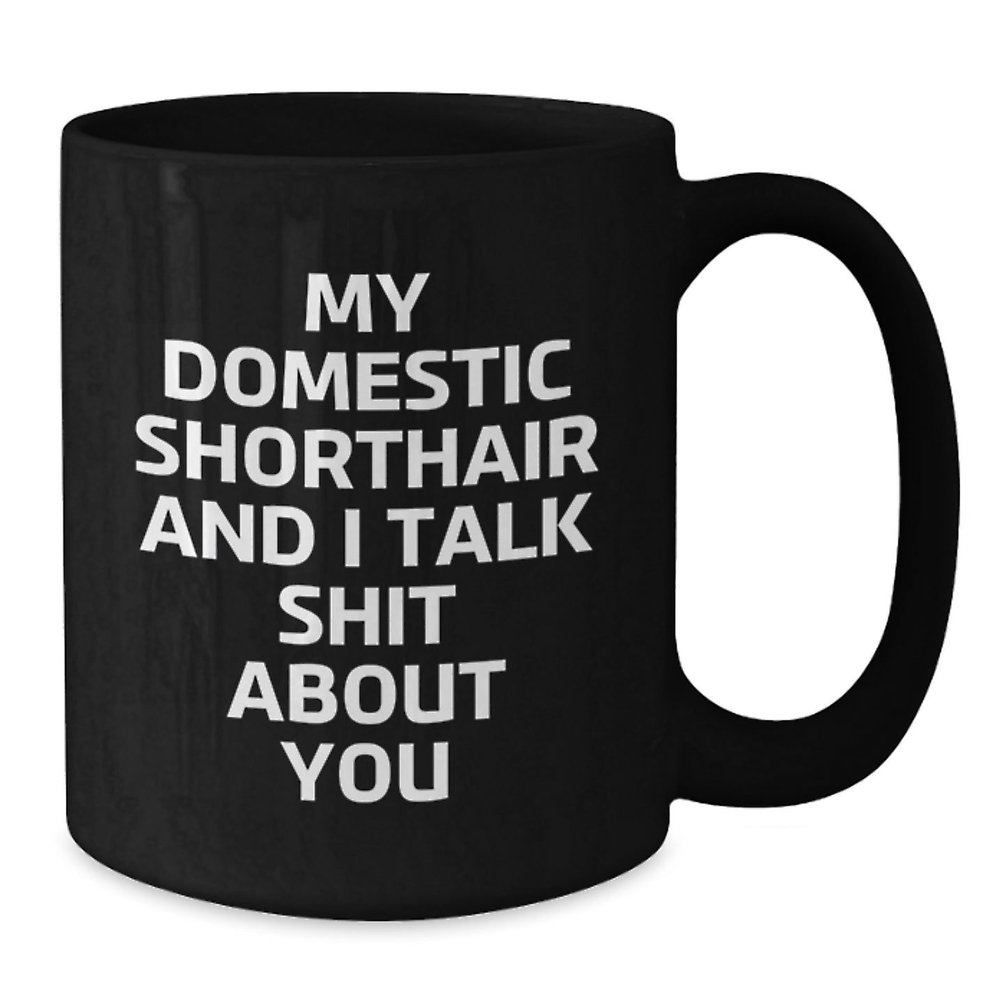 Funny Domestic Shorthair Cat Gifts for Dad - 'My Domestic Shorthair And I Talk Shit About You' Black Coffee Mug, Gift from Family - Additional