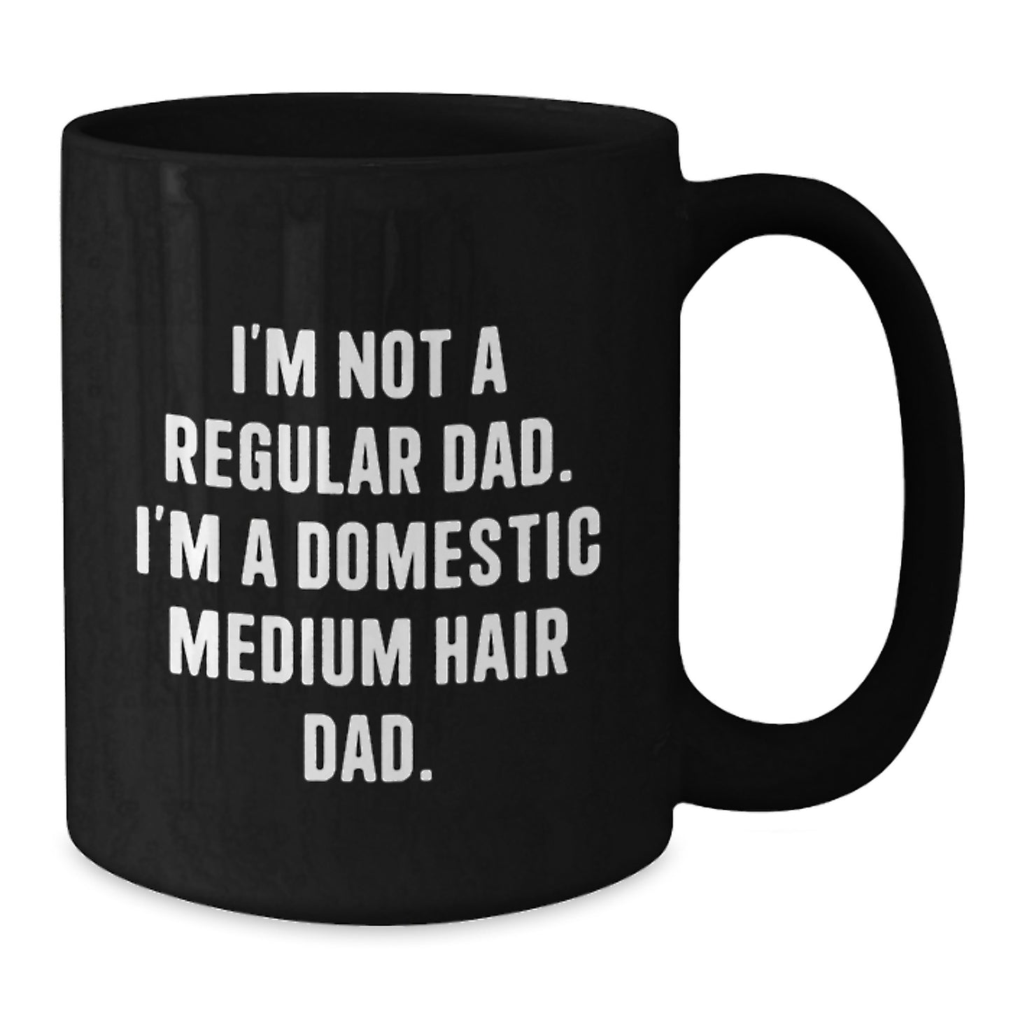 Funny Domestic Medium Hair Cat Dad Gifts from Men to Friends, Unique Graduation Gifts for Him, Black Coffee Mug with I'm Not A Regular Dad Quote - Additional