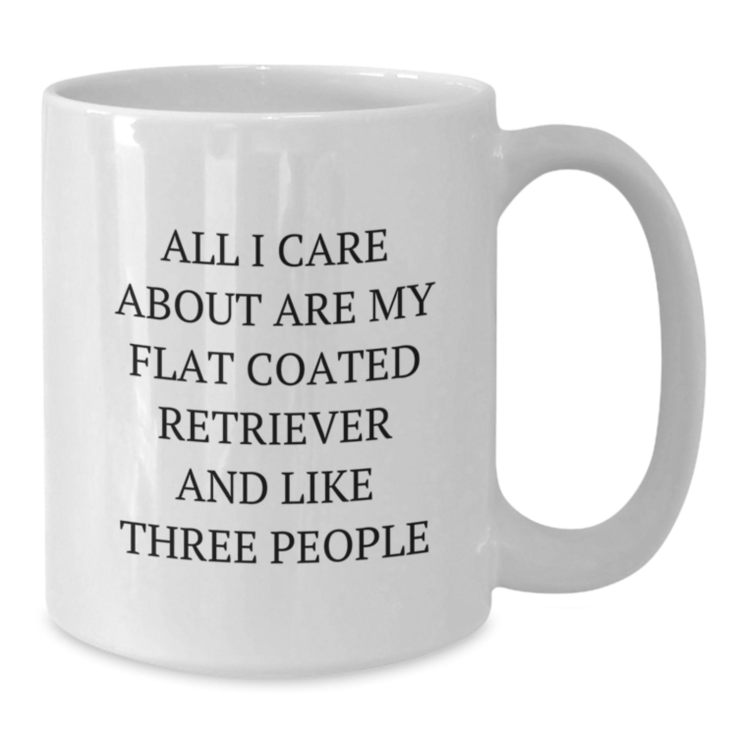 Flat Coated Retriever Dog Lovers Funny Gifts from Friends and Family for Flat Coated Retriever Dog Birthday Unique Gifts - Additional