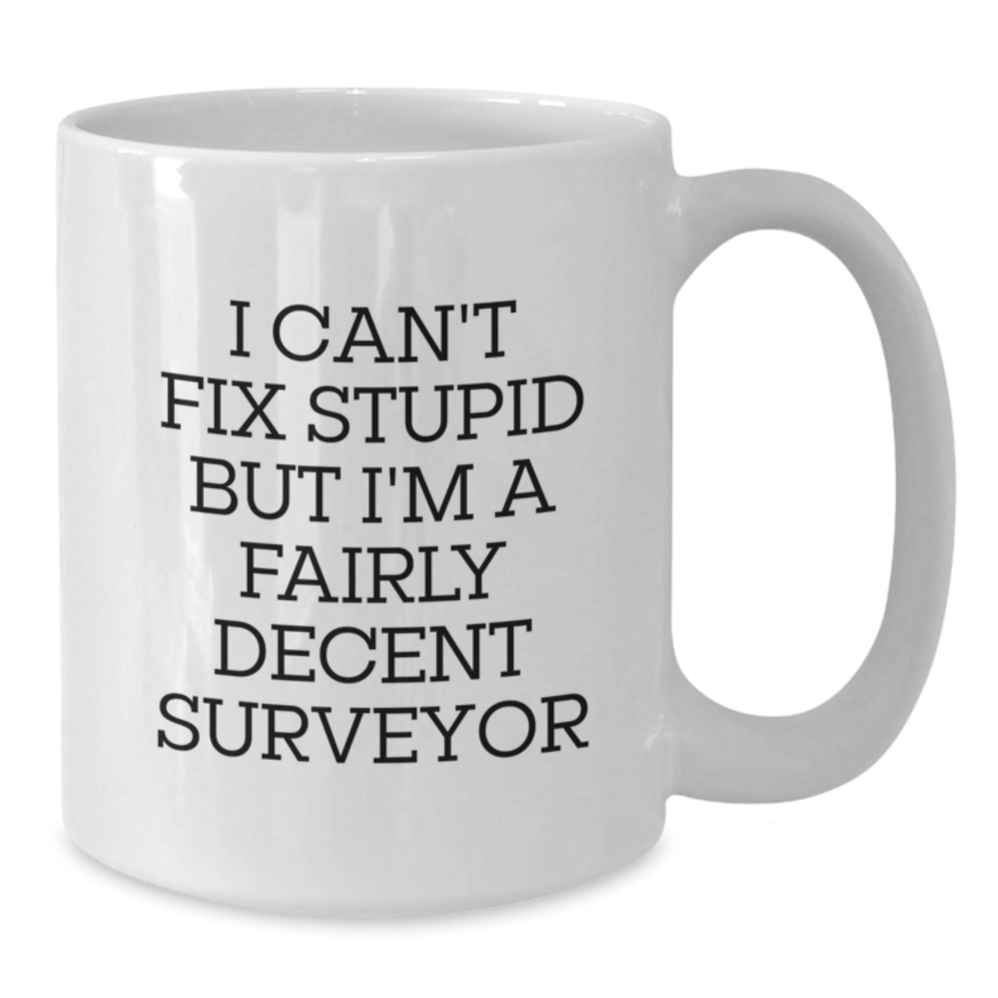 Funny Surveyor Gifts from Friends for Graduation, I Cant Fix Stupid But Im A Decent Surveyor White Coffee Mug, Unique White Coffee Mug for Surveyor - Additional