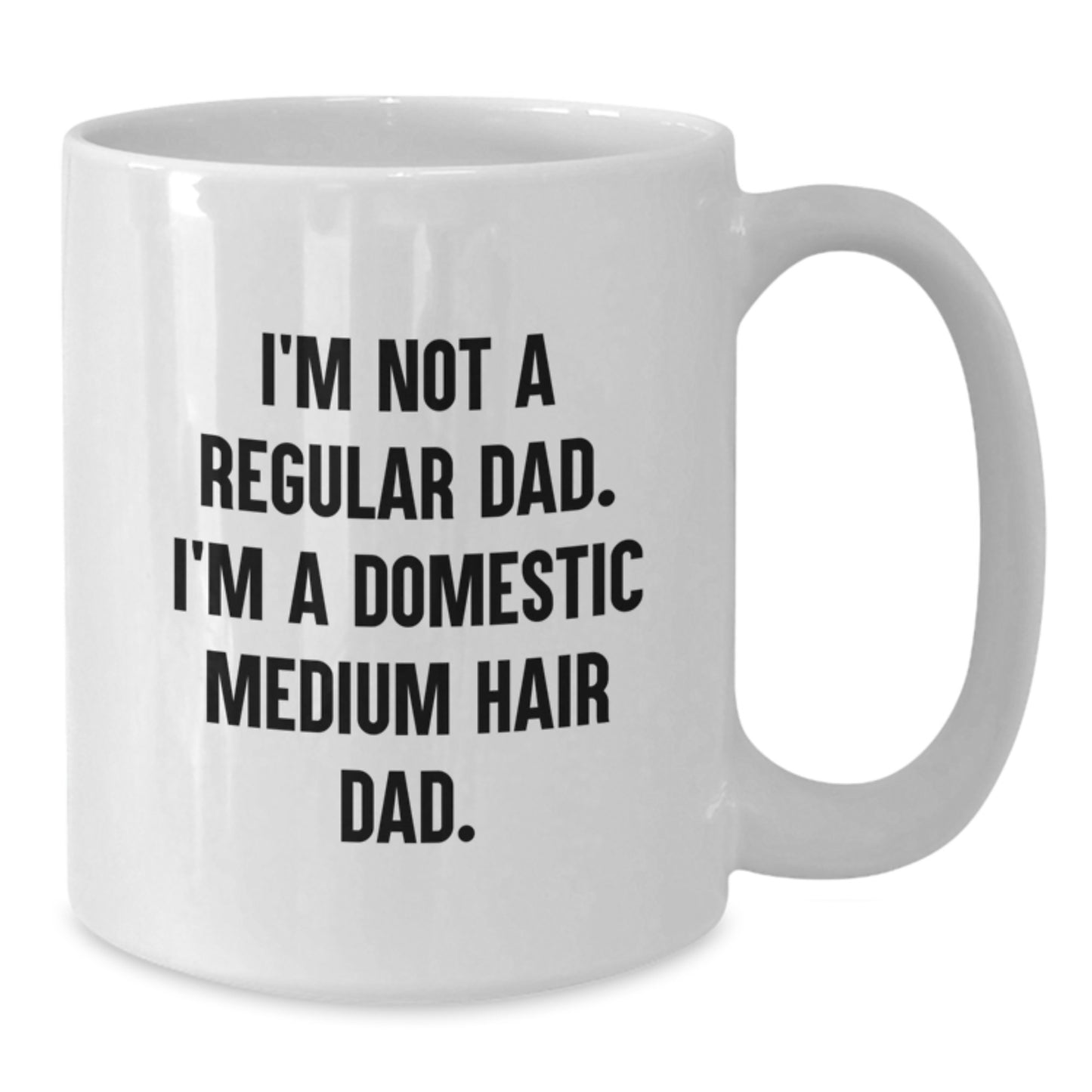 Funny Domestic Medium Hair Cat Dad Gifts for Men from Family, Unique White Coffee Mug for Graduation - Additional