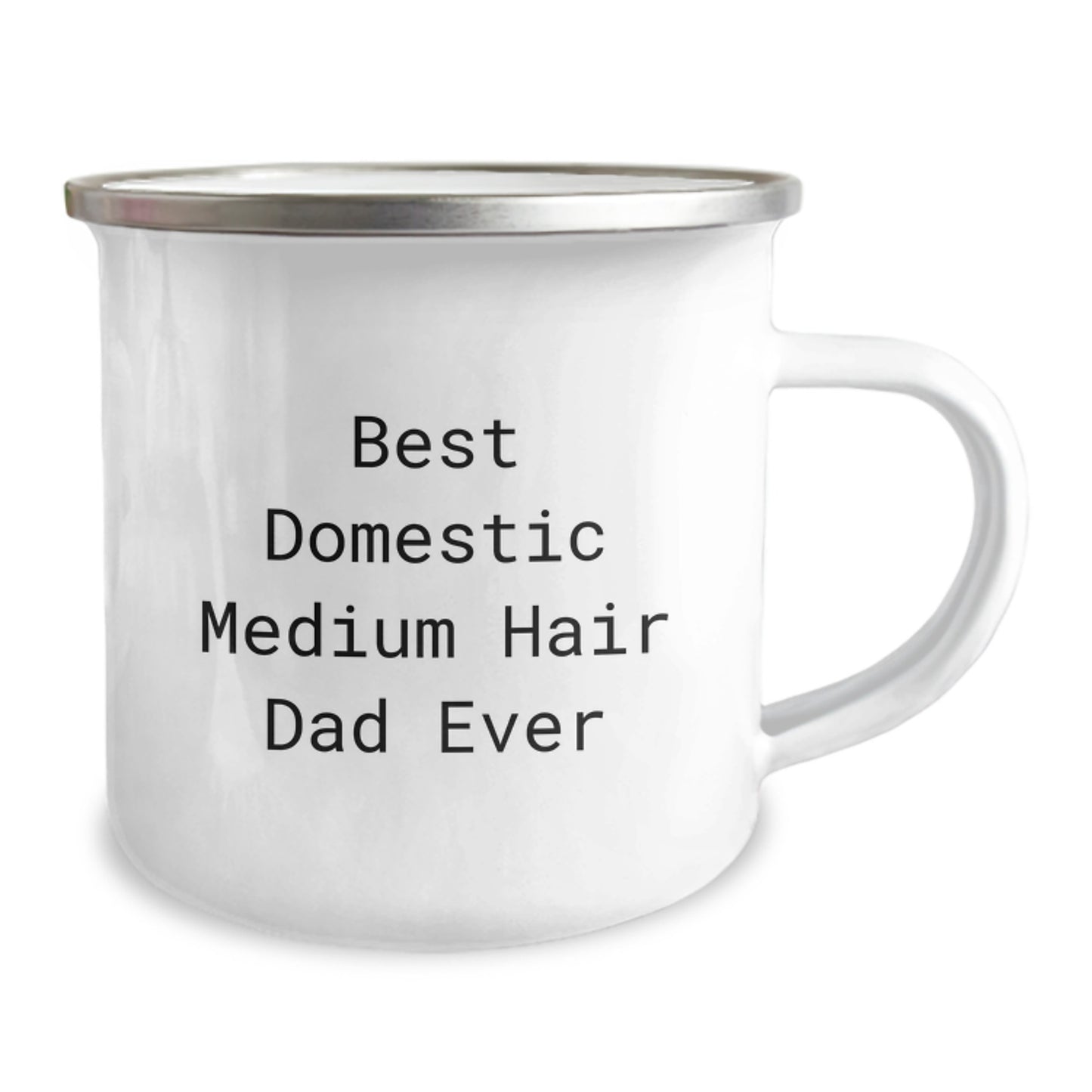 Funny Domestic Medium Hair Cat Dad Gifts from Men for Birthday Unique Camping Mugs - Best Dad Ever - Image 2