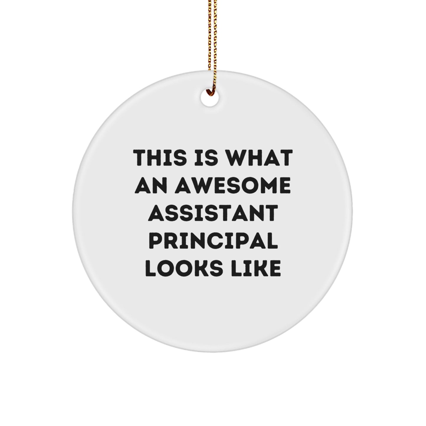 Funny Assistant Principal Gifts for Men from Friends - This Is What An Awesome Assistant Principal Looks Like Christmas Unique Circle Ornament - Image 1