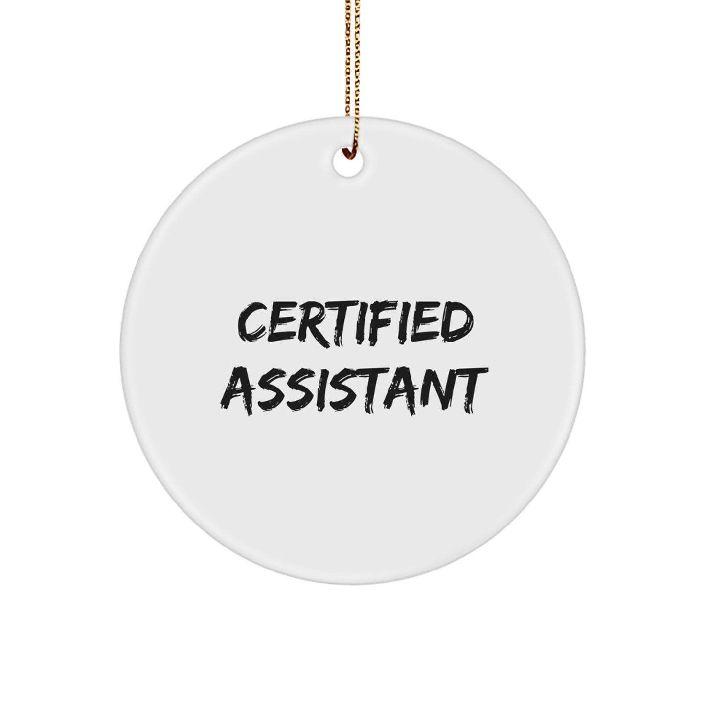 Funny Certified Assistant Christmas Unique Gifts from Friends, Gifts for Assistant, Circle Ornament - Image 1