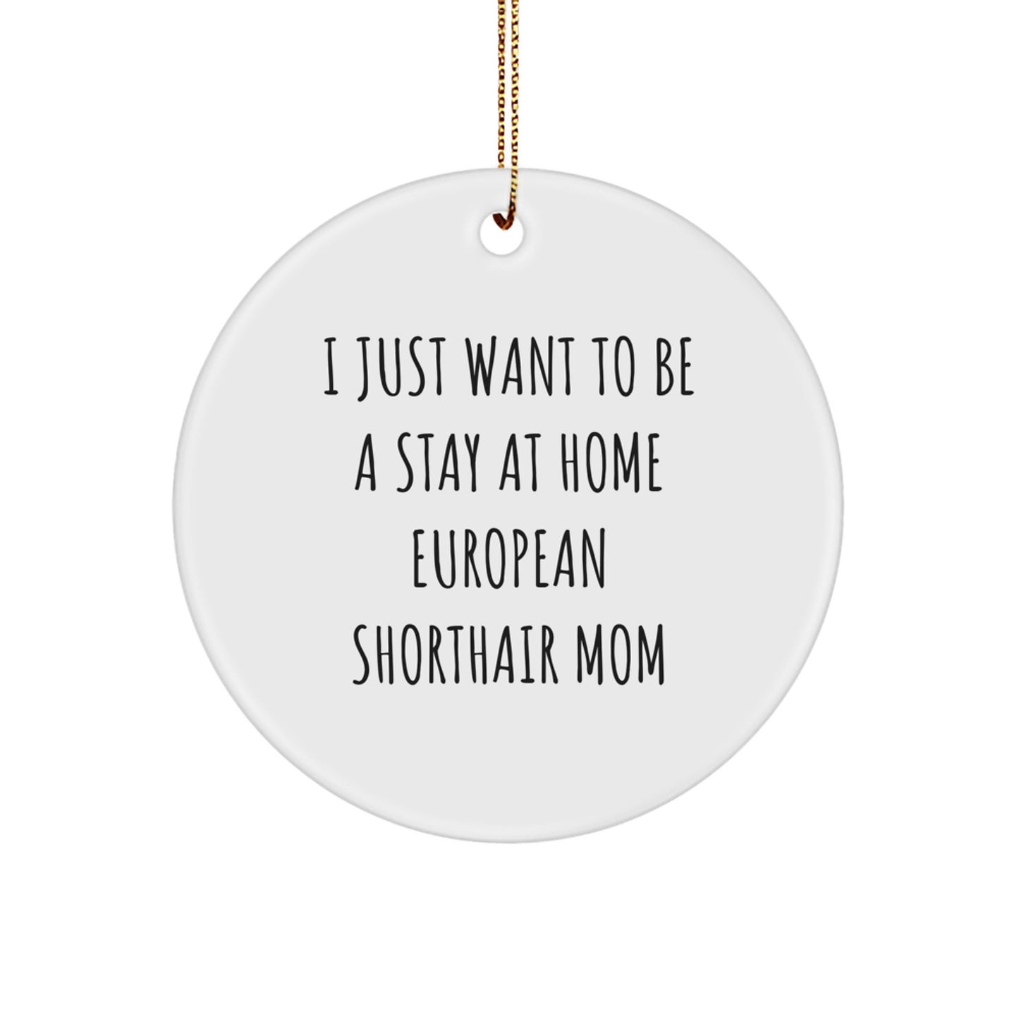 European Shorthair Cat Lover Gifts from Friends and Family, Funny Mom Quote Christmas Unique Ornaments, Circle Ornament for European Shorthair Cat - Image 1