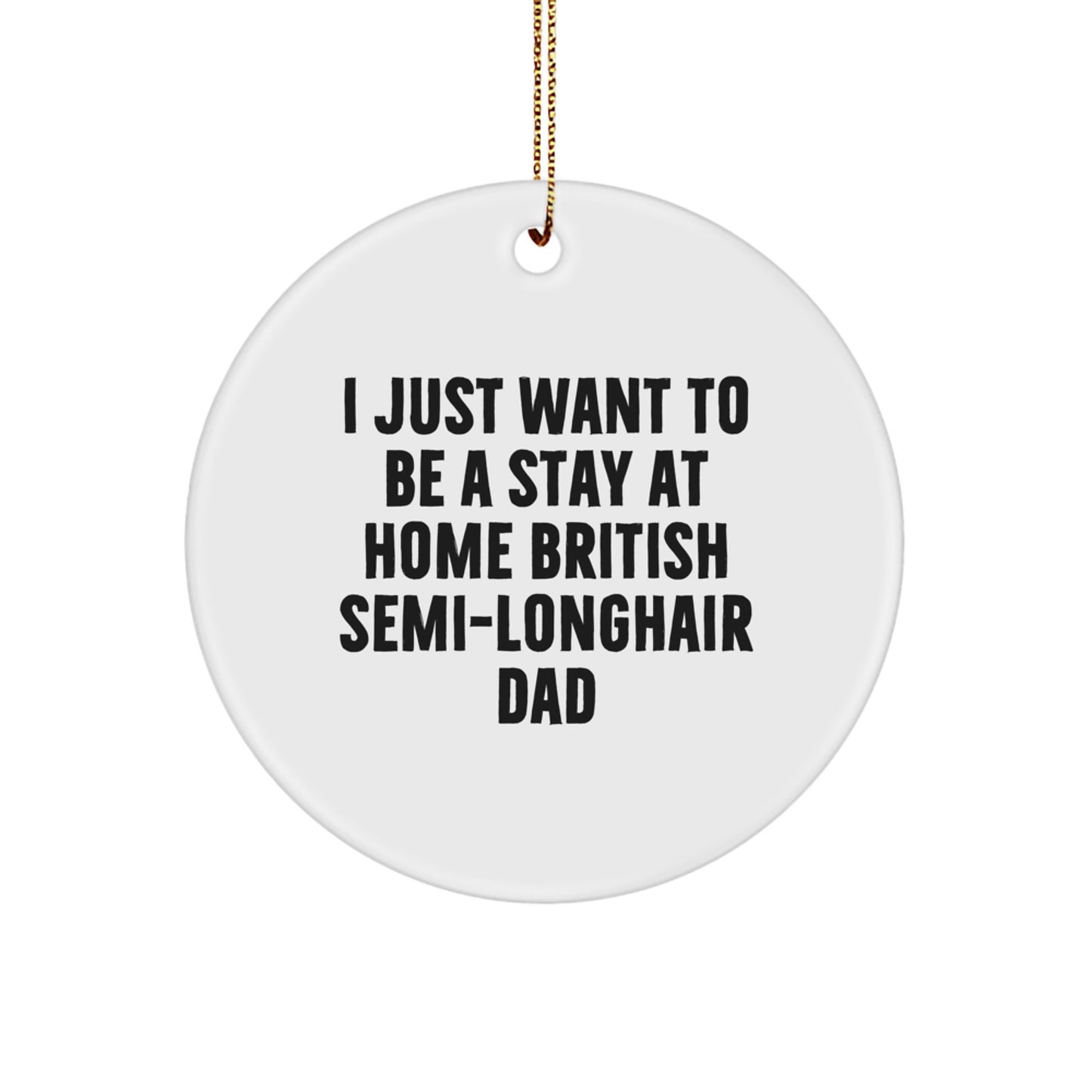 Funny British Semi-Longhair Cat Gifts from Dad, Circle Ornament, I Just Want To Be A Stay At Home British Semi-longhair Dad Christmas Unique Gifts for British Semi-Longhair Cat Lovers - Image 1