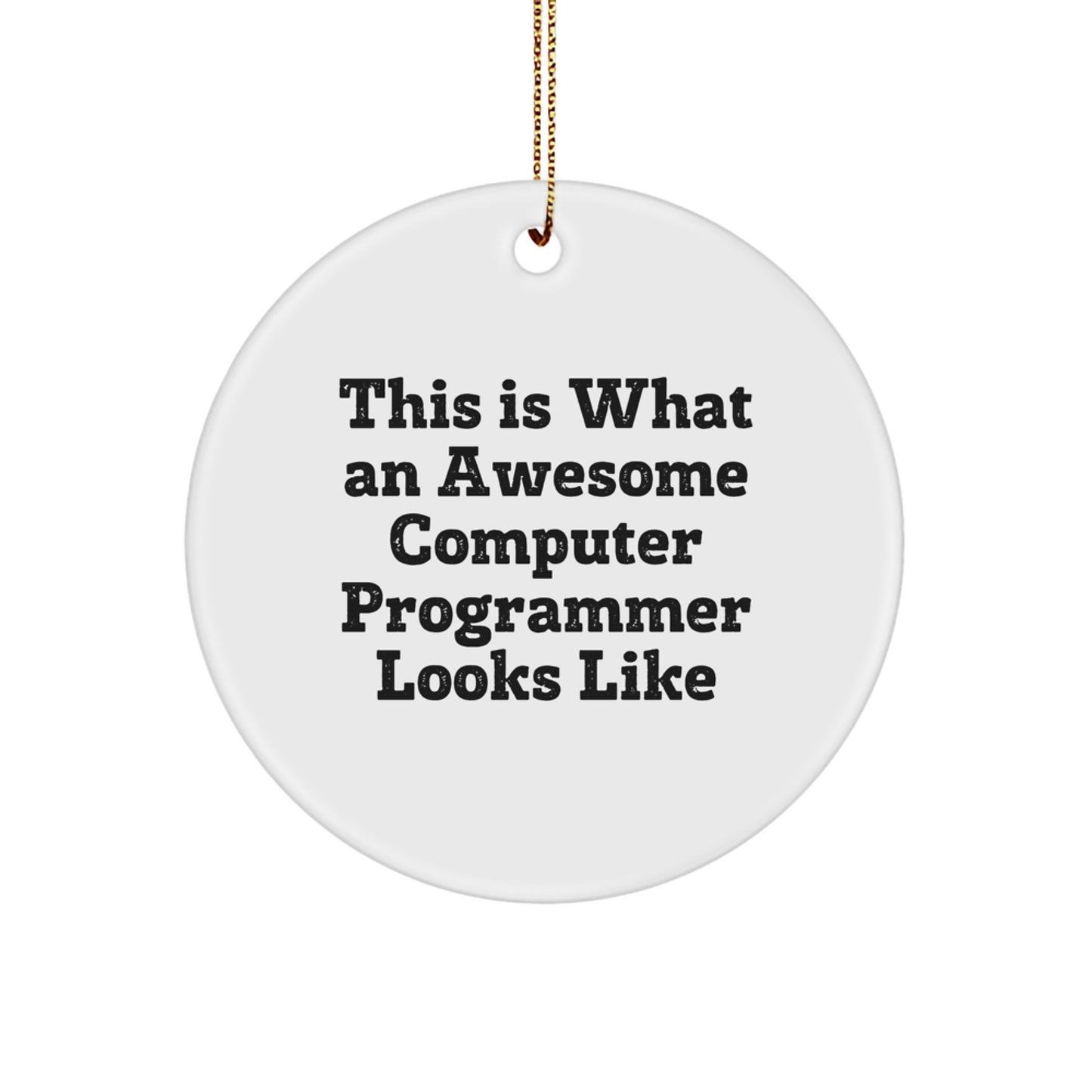 Funny Computer Programmer Gifts for Men, 'This Is What An Awesome Computer Programmer Looks Like' Christmas Unique Gifts from Family, Circle Ornament for Computer Programmer Friends - Image 1