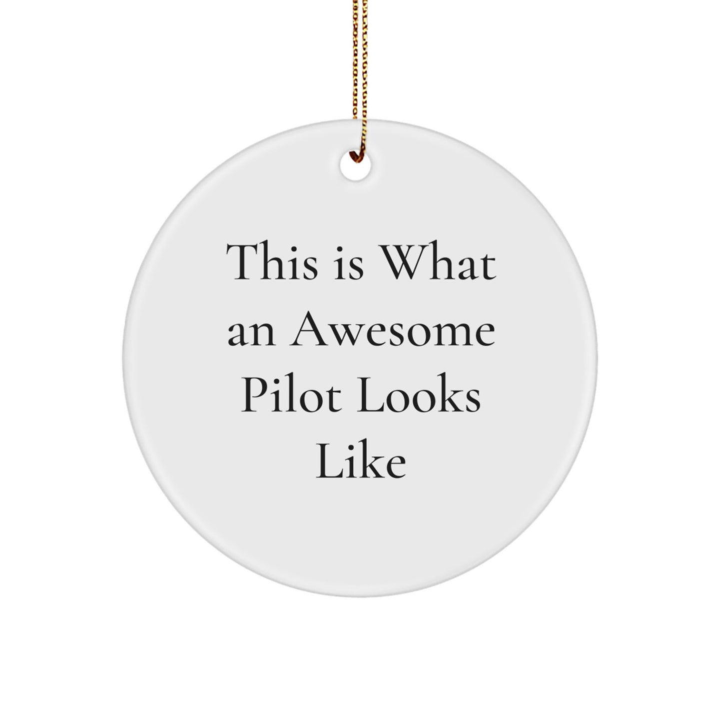 Inspirational Pilot Gifts from Friends - This Is What an Awesome Pilot Looks Like Circle Ornament for Men, Women, Coworkers, Family, and Friends at Christmas - Image 1