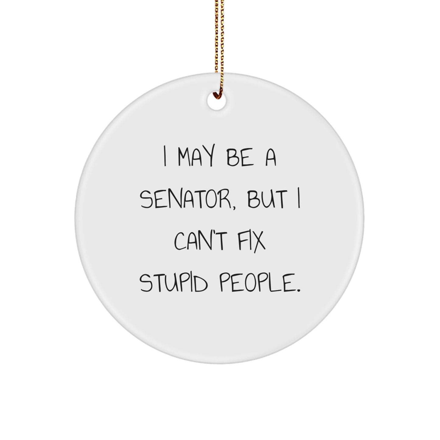 Funny Senator Circle Ornament, Gift for Senator Friends, Christmas Unique Ornaments, Senator Quotes, I May Be A Senator But I Cant Fix Stupid People Gifts from Friends - Image 1