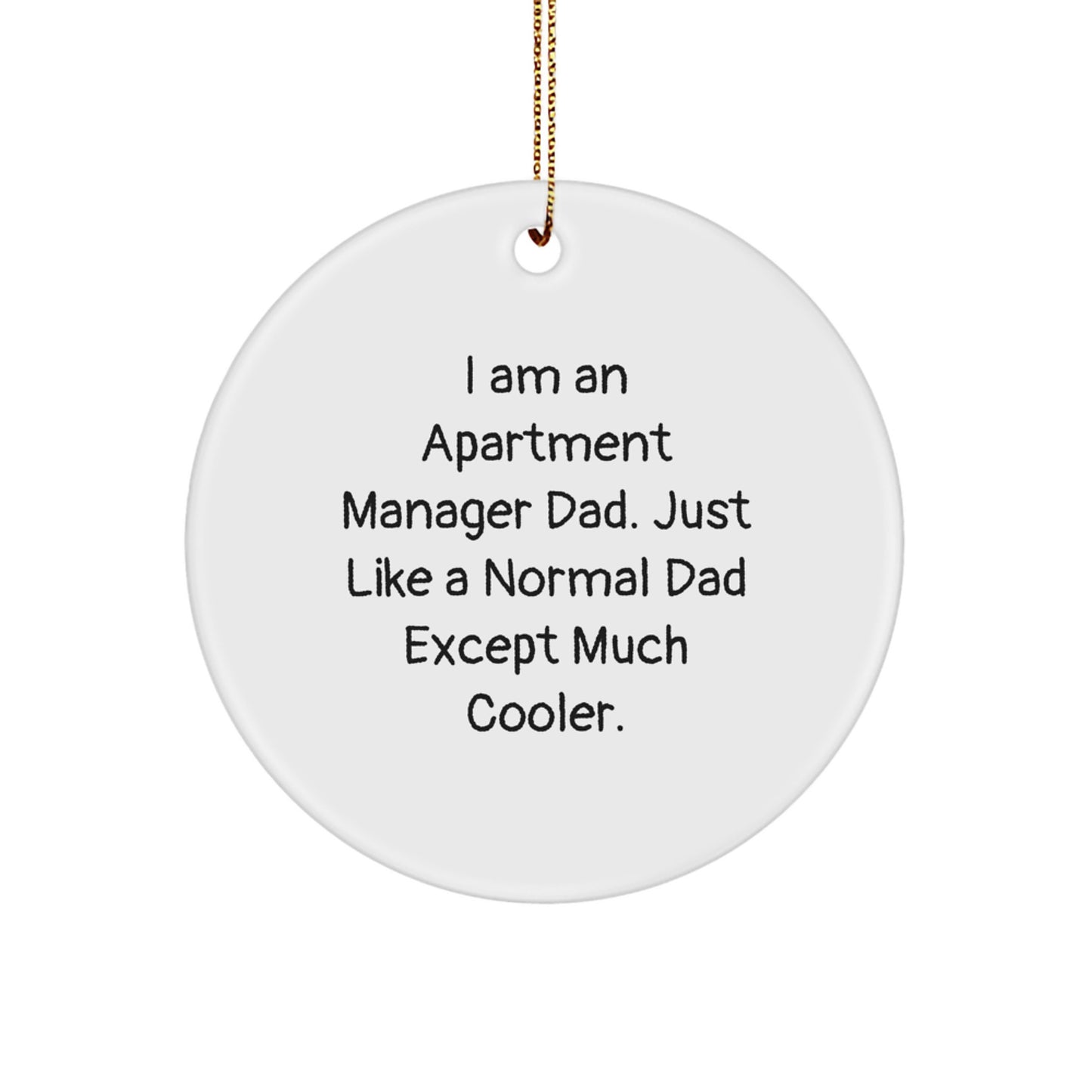 Christmas Gift for Her Apartment Manager Dad Ornament Present - Image 1