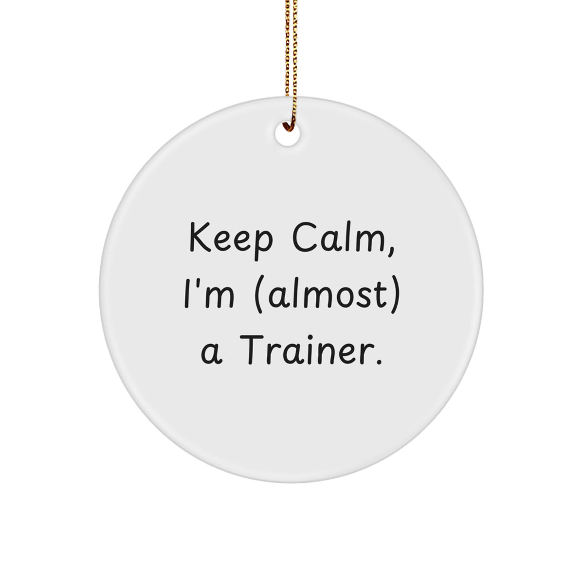 Trainer Keepsake Christmas Ornament for Him Gift - Image 1