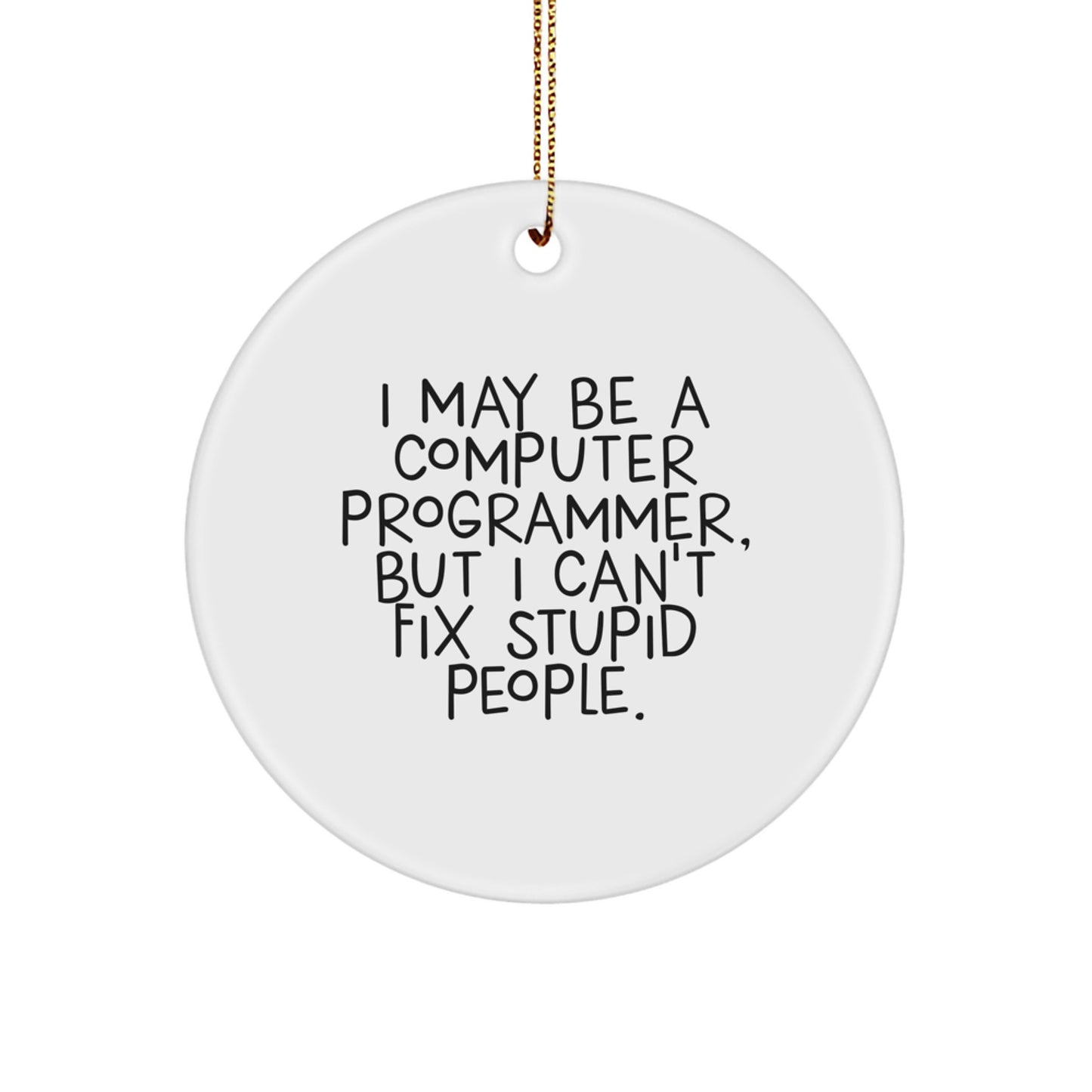 Funny Computer Programmer Gifts for Men, Unique Circle Ornament with I May Be A Computer Programmer, But I Can't Fix Stupid People., Christmas Decorations from Friends - Image 1
