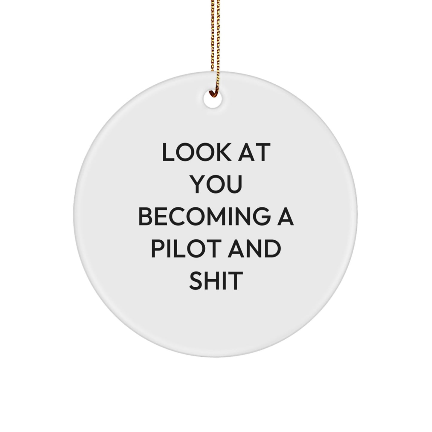 Funny Pilot Gifts for Men - 'Look At You Becoming A Pilot And Shit' Circle Ornament Gifts from Friends to Family - Image 1