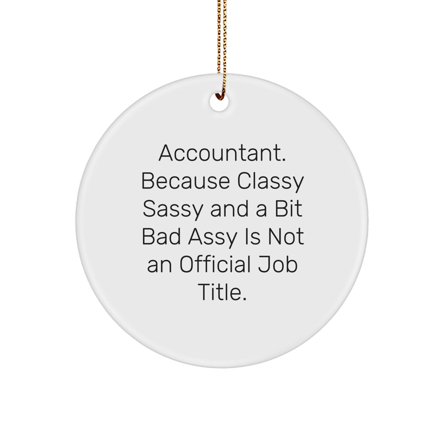 Funny Accountant Gifts, Unique Circle Ornament, Christmas Unique Gifts from Friends to Accountant - Image 1