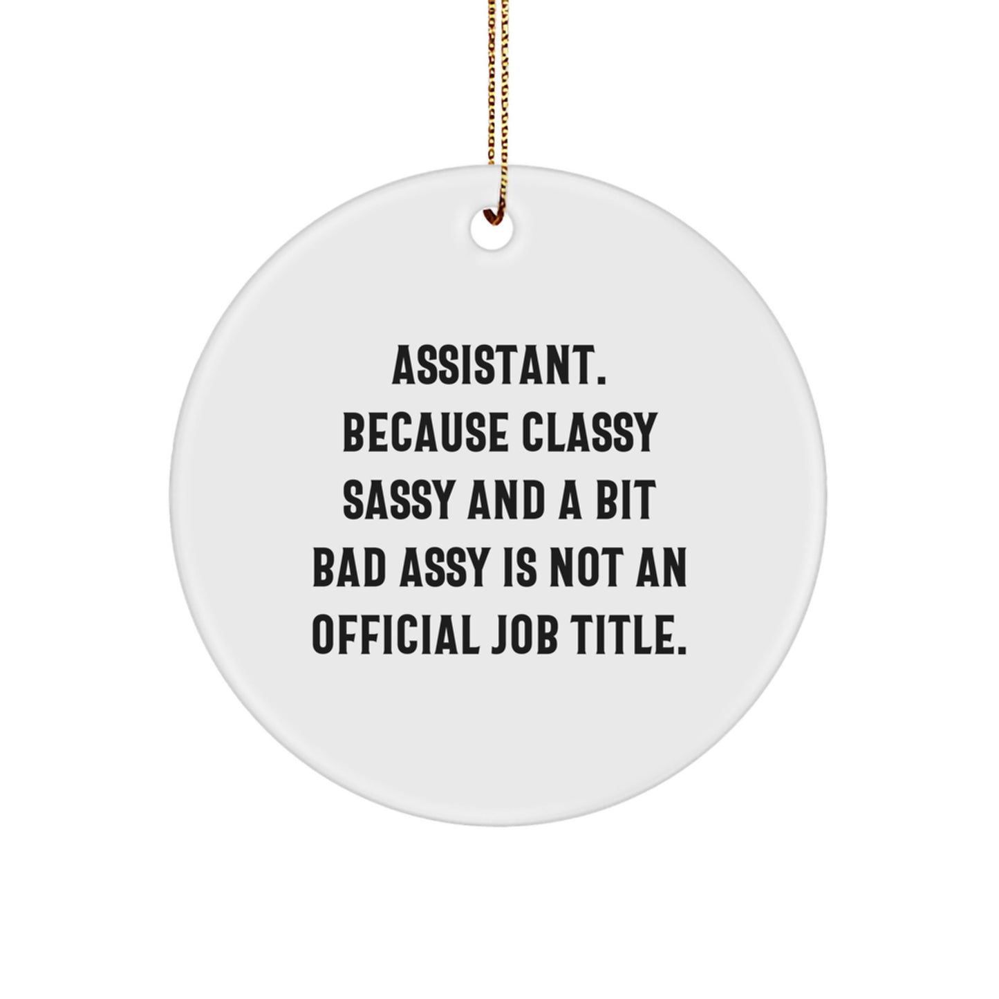 Funny 'Assistant' Circle Ornaments Gifts for Men Women Friends Coworkers Family - Christmas Unique Decorations from Friends - Image 1