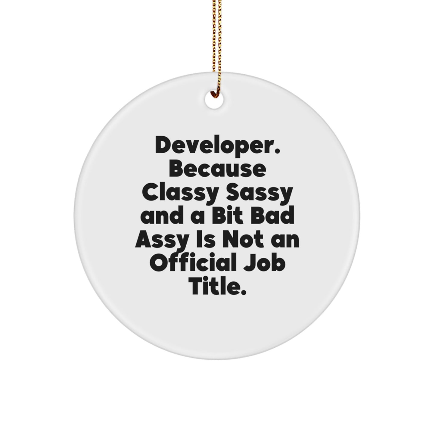 Developer Gifts from Friends and Family - Funny Circle Ornament for Christmas Unique Gifts - Image 1