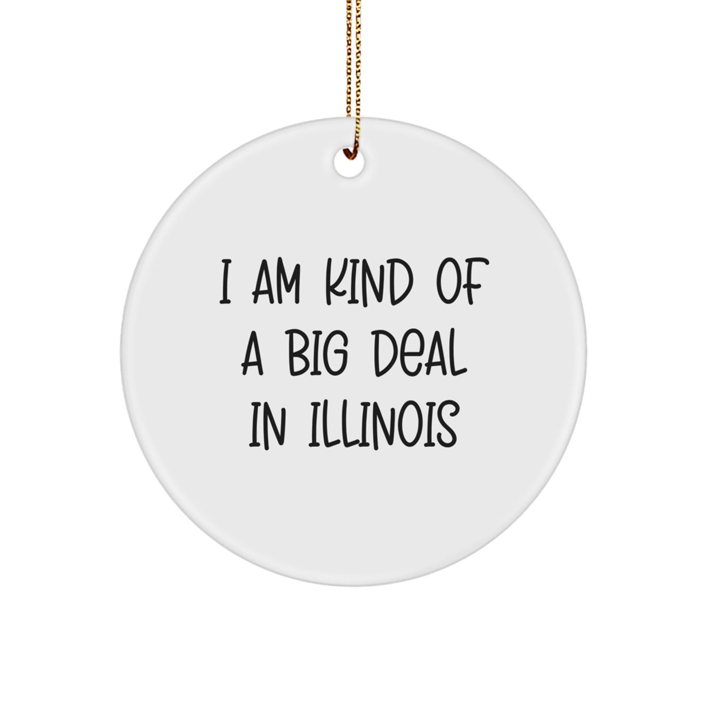 Funny Illinois Gifts from Friends and Family - I Am Kind Of A Prime Selection In Illinois Christmas Circle Ornament - Image 1