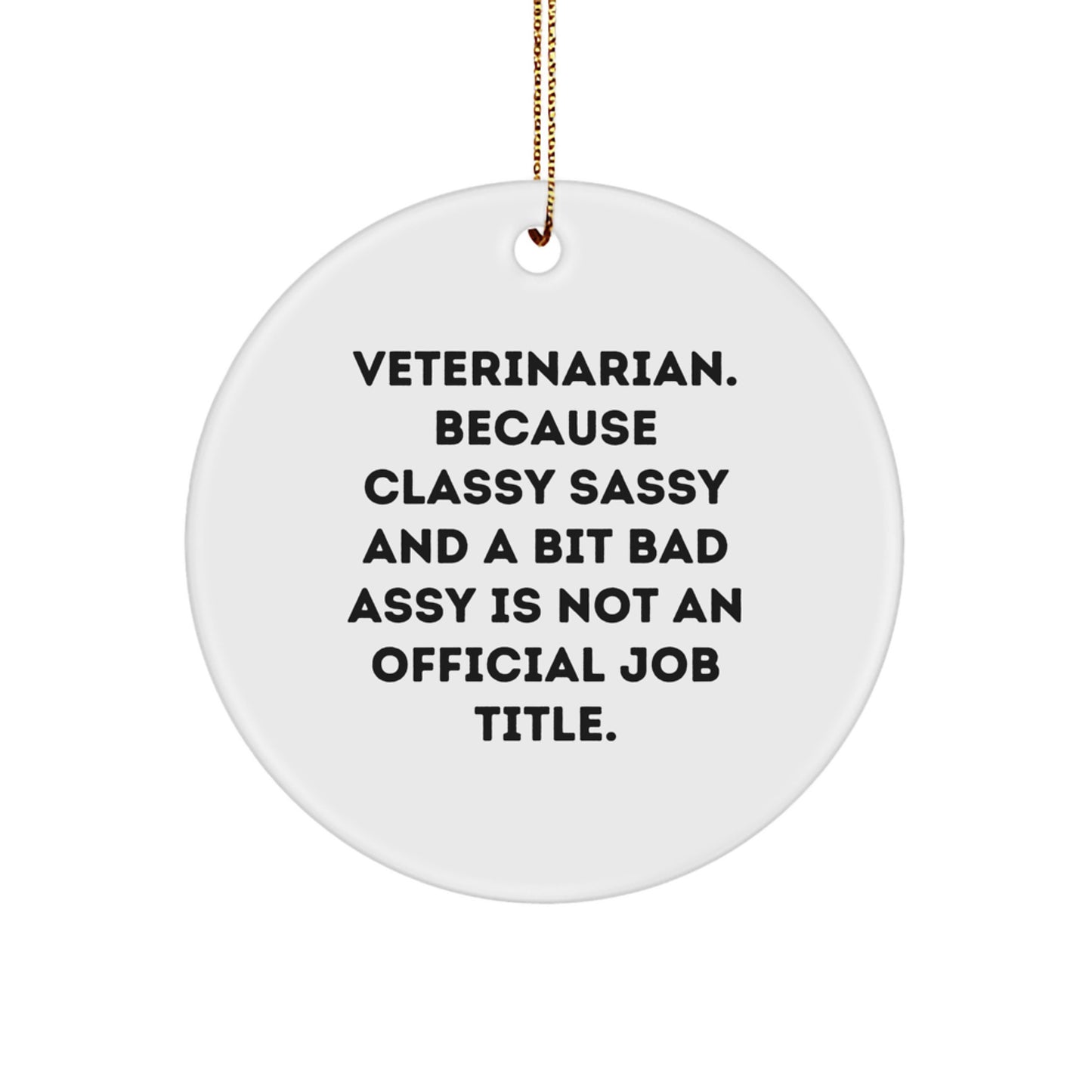 Funny Veterinarian Gifts from Men to Friends - Circle Ornament, Christmas Unique Present for Veterinarian Women Coworkers Family - Image 1