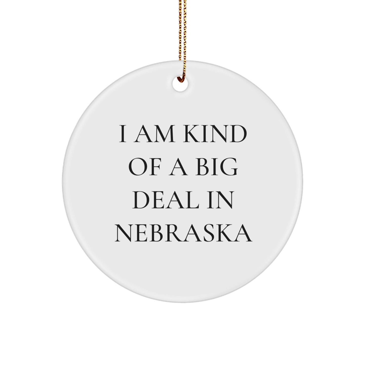 Nebraska Gifts from Friends and Family - Funny Quote Circle Ornament for Christmas Unique Gifts from the Heartland - 'I Am Kind Of A Prime Selection In Nebraska' Ornament - Image 1