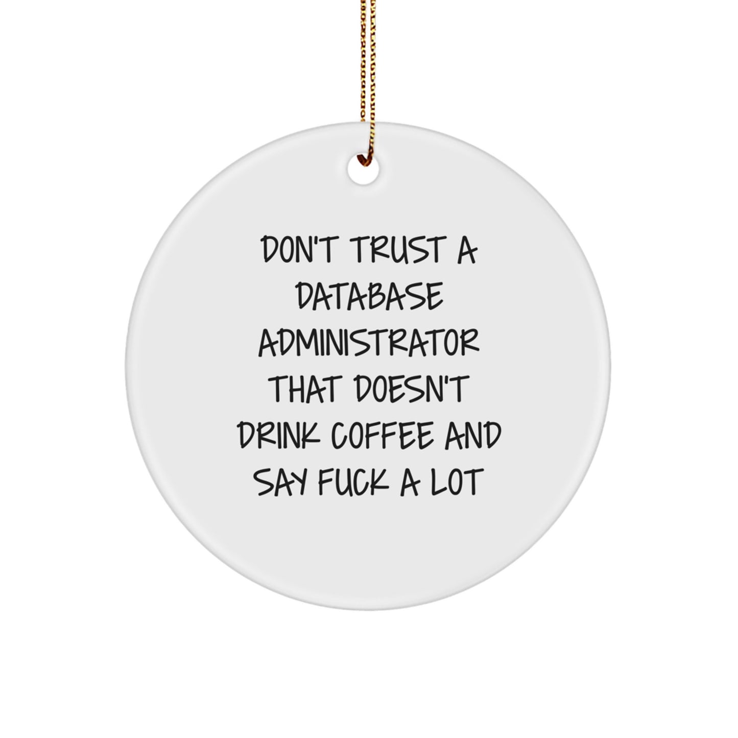 Funny Database Administrator Gifts from Coworkers, Unique Circle Ornaments for Database Administrators, Christmas Unique Gifts for Men - Image 1