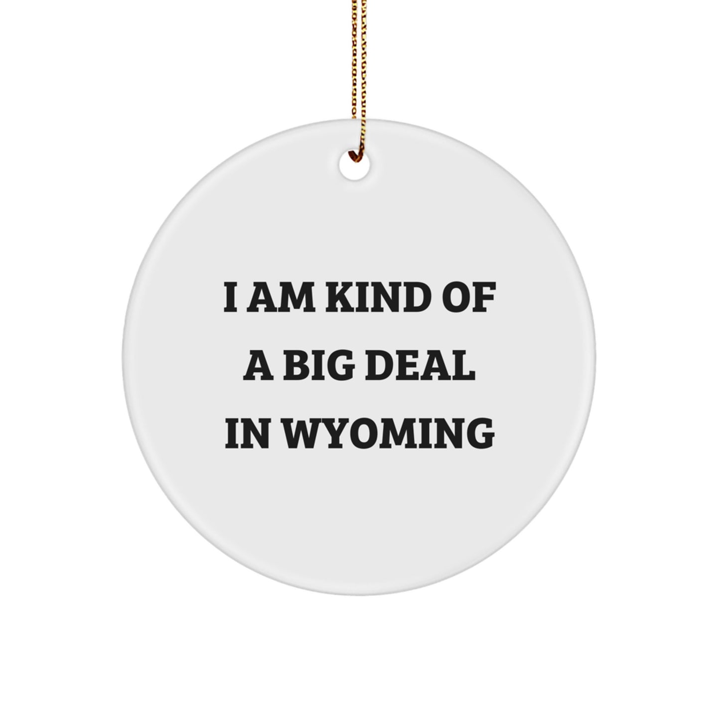 Funny Wyoming Circle Ornament Gifts from Friends to Family - Christmas Unique Gifts - Image 1