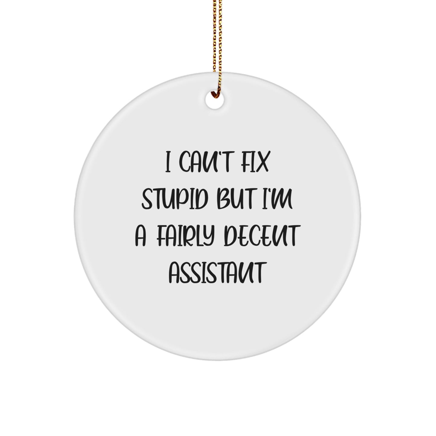 Funny Assistant Gifts from Men to Women, Christmas Unique Circle Ornaments for Fairly Decent Assistants 'I Can't Fix Stupid' - Image 1