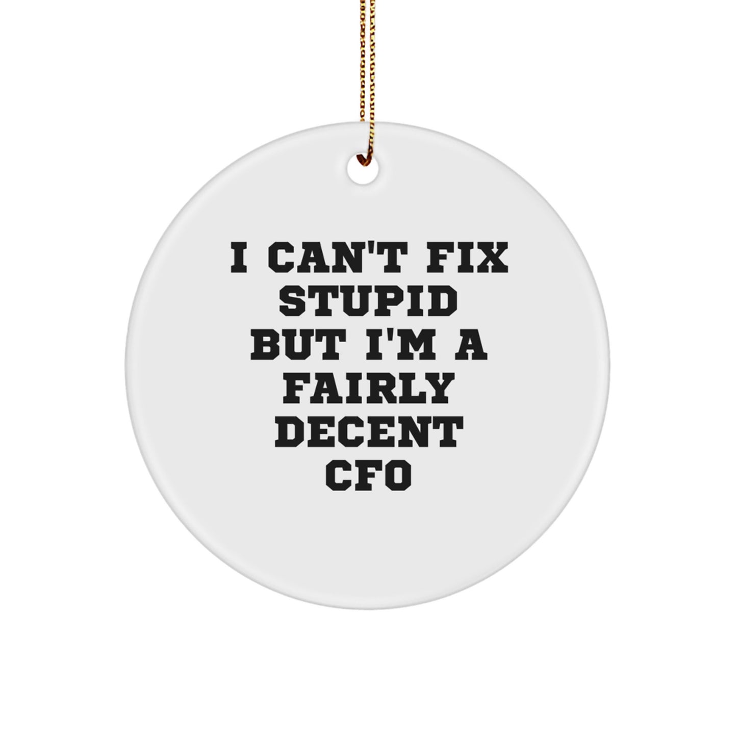 Funny CFO Gifts, 'I Can't Fix Stupid But I'm A Fairly Decent CFO' Circle Ornament for Christmas, Gifts from Friends, Coworkers - Image 1