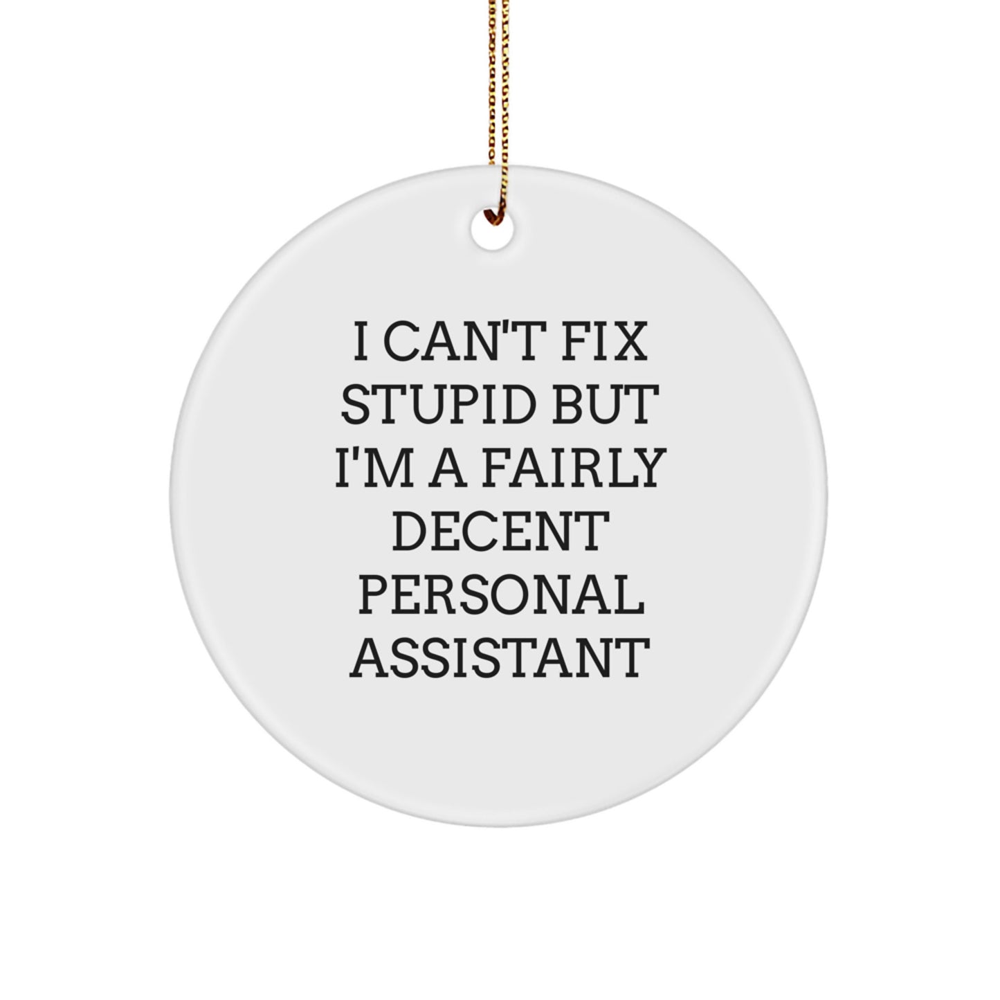 Funny Personal Assistant Gifts for Friends, Coworkers, or Family - I Can't Fix Stupid But I'm A Fairly Decent Personal Assistant Circle Ornament for Christmas - Image 1