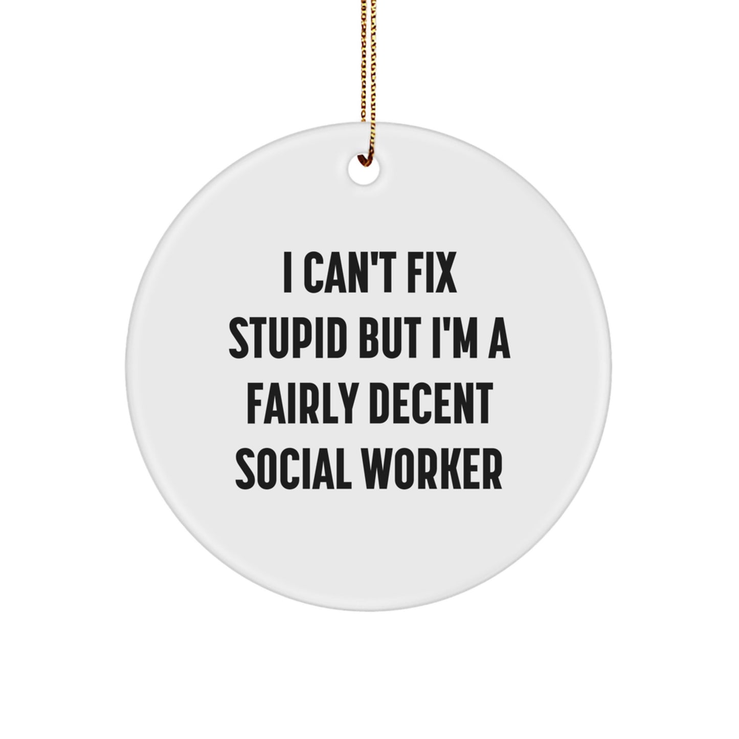 Funny Social Worker Gift, I Can't Fix Stupid But I'm A Fairly Decent Gifts from Men to Women for Christmas Unique Circle Ornaments for Friends and Family - Image 1