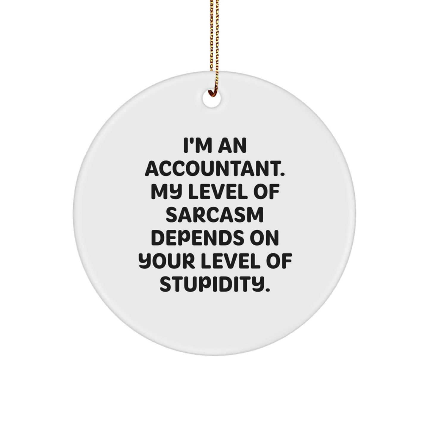 Accountant Gifts from Friends - Funny Sarcasm Circle Ornament for Christmas Unique Gifts - Image 1