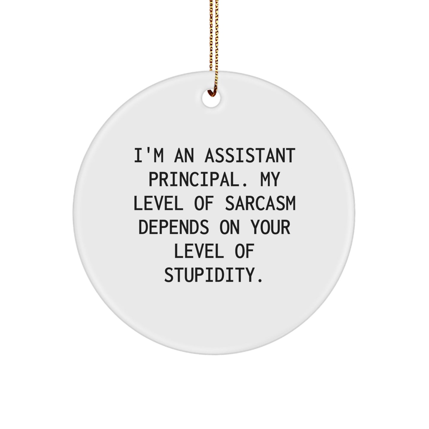 Funny Assistant Principal Gifts - I'm An Assistant Principal. My Level Of Sarcasm Depends On Your Level Of Stupidity. - Circle Ornament for Christmas - Image 1
