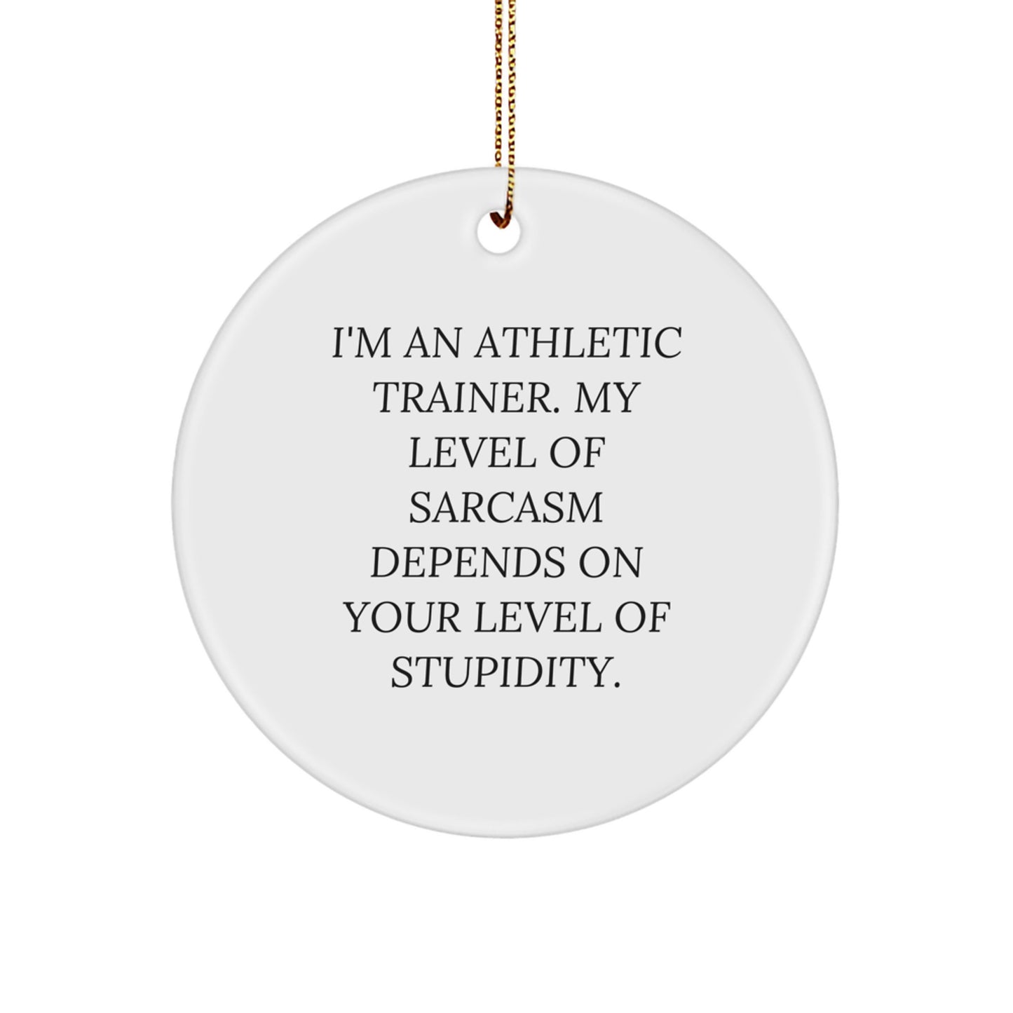 Athletic Trainer Gifts from Friends, Funny Circle Ornament for Christmas, 'I'm An Athletic Trainer. My Level Of Sarcasm Depends On Your Level Of Stupidity.' Quote, Gifts for Men or Women - Image 1