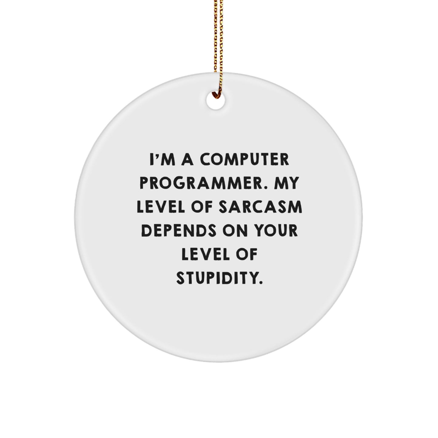 Funny Computer Programmer Gifts from Friends, Circle Ornament with Sarcasm Quote, Perfect for Computer Programmer Men, Unique Christmas Office Decorations - Image 1
