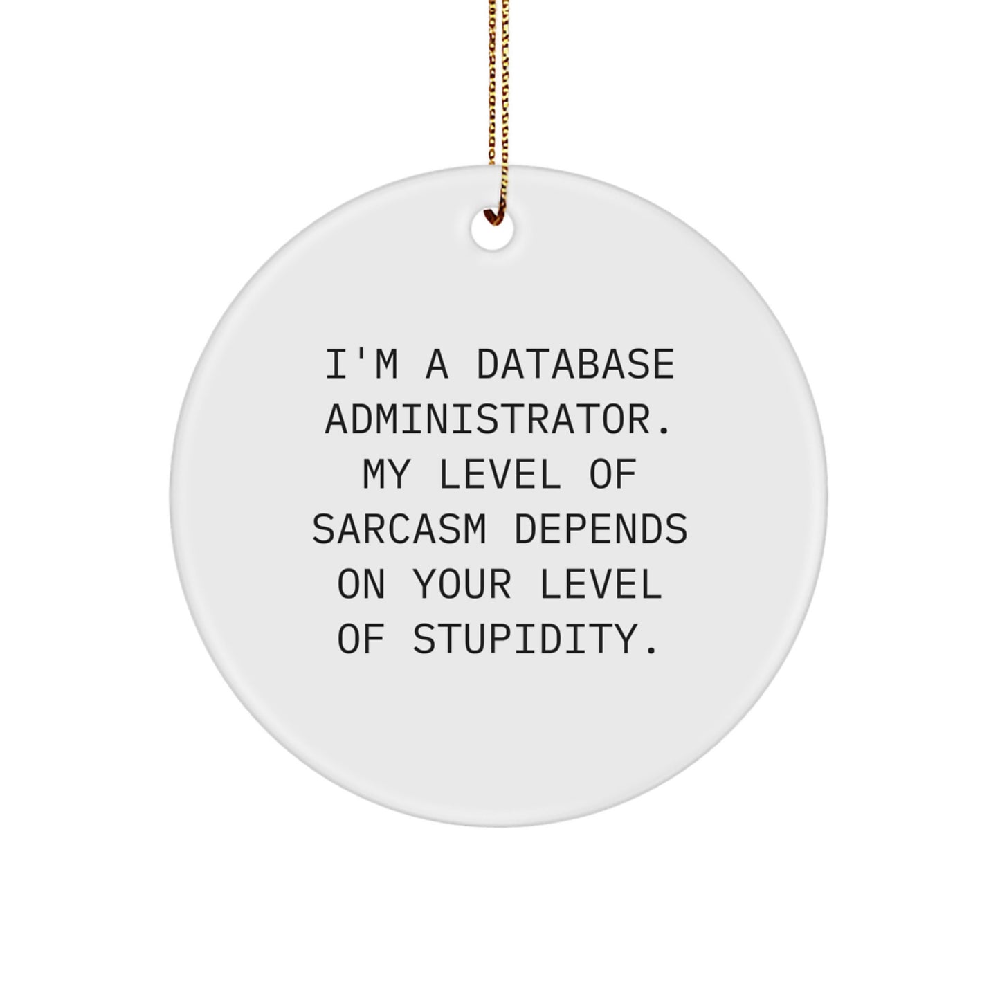 Database Administrator Sarcasm Gifts, Funny Circle Ornament for Men, Christmas Unique Gifts from Friends, Database Administrator Humor - Image 1