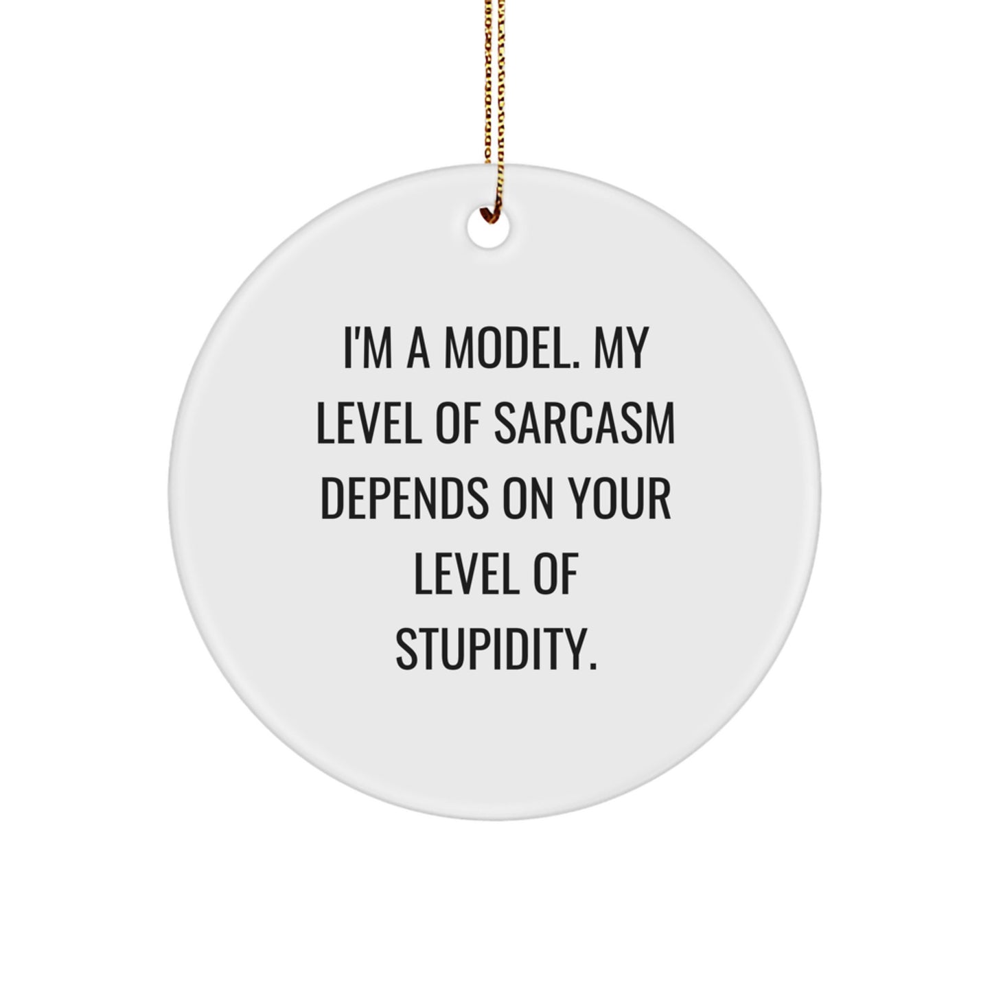 Funny Model Gifts from Friends for Christmas, Circle Ornament with 'I'm A Model. My Level Of Sarcasm Depends On Your Level Of Stupidity.' Quote, Perfect for Humorous Decoration - Image 1