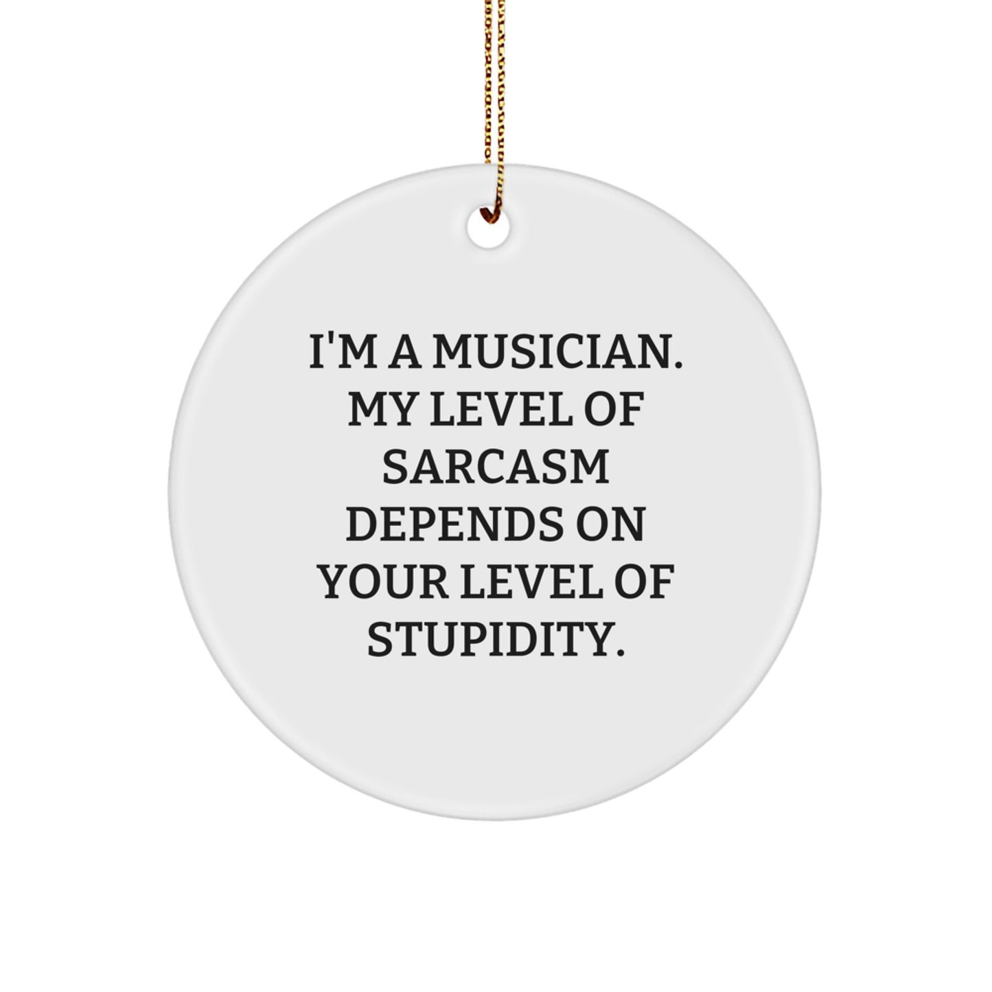 Musician Gifts from Friends - Christmas Circle Ornament with Sarcasm Quote, Funny Musician Present for Musician or Music Lovers, Circle Ornament Gifts for Men or Women - Image 1