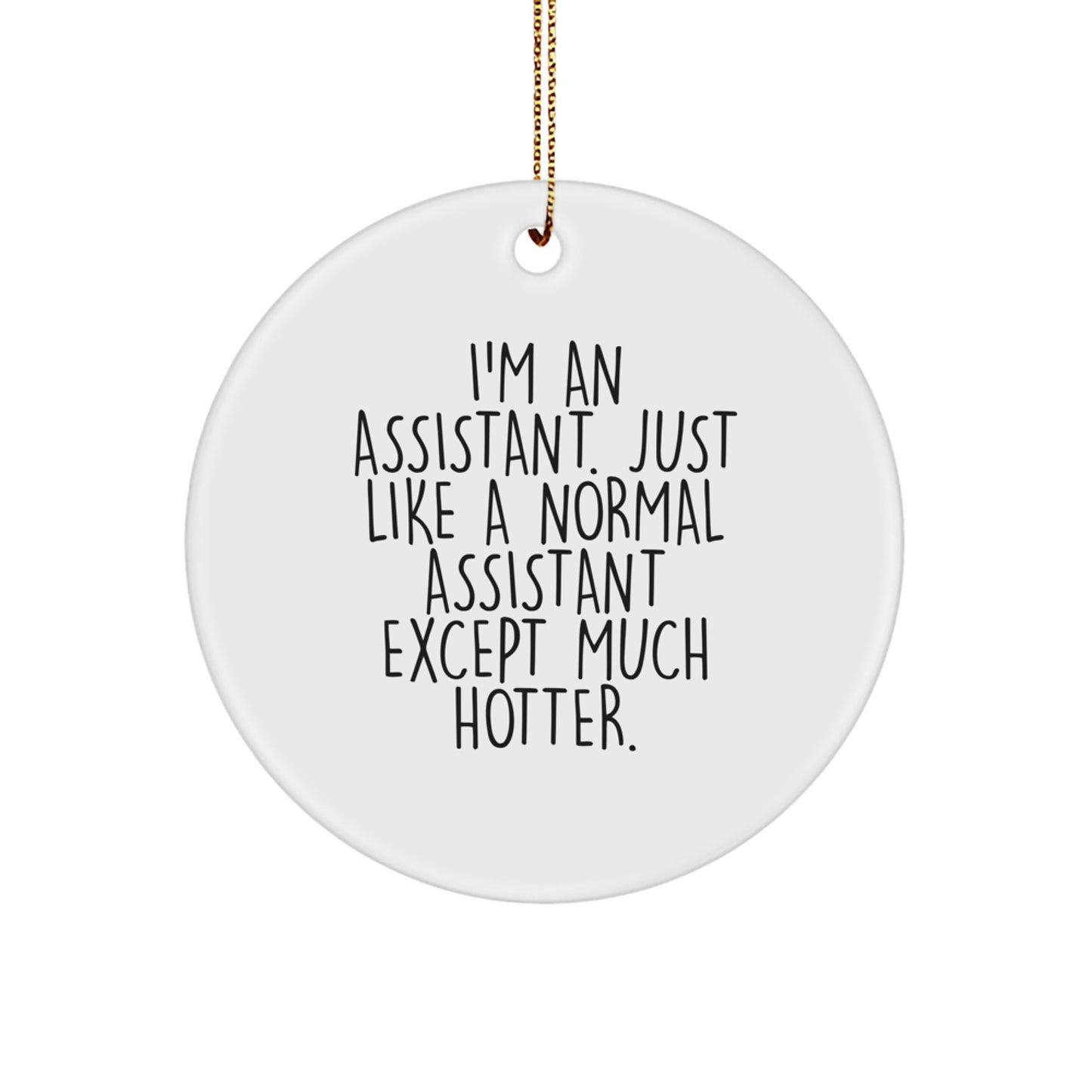 Funny Assistant Christmas Circle Ornament Gifts from Friends for Coworkers Office Decor - Image 1