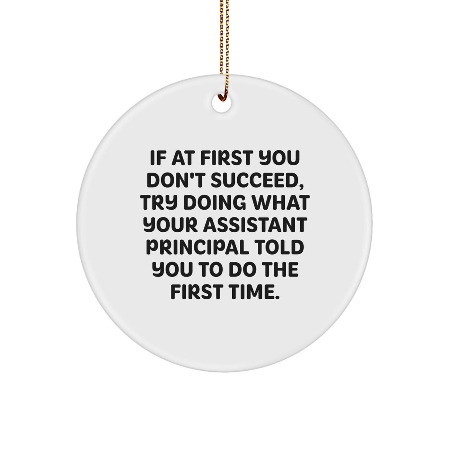Funny Assistant Principal Gifts from Friends for Christmas Circle Ornaments - If At First You Don't Succeed, Try Doing What Your Assistant Principal Told You To Do The First Time. - Image 1