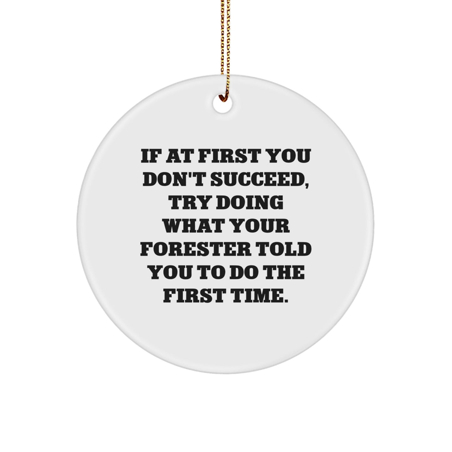 Funny Forester Gifts from Friends - If At First You Don't Succeed, Try Doing What Your Forester Told You To Do The First Time. Circle Ornament for Forester Fans - Image 1