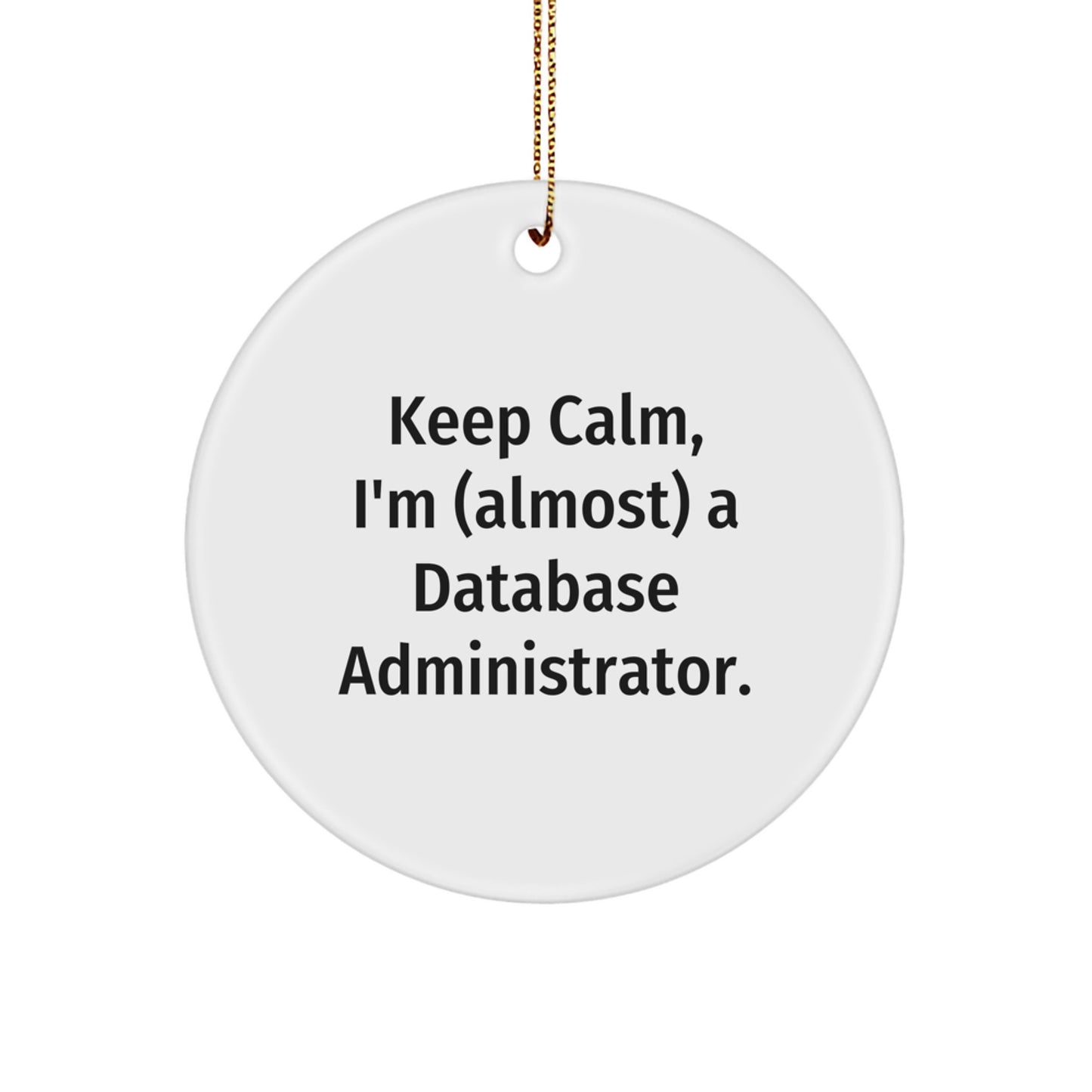 Database Administrator Circle Ornament Idea for Coworkers Christmas Gift - Image 1