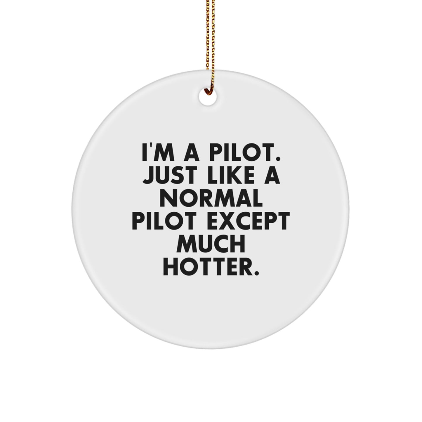 Funny Pilot Gifts for Men, Pilot Ornaments for Christmas Unique Gifts from Friends - Image 1