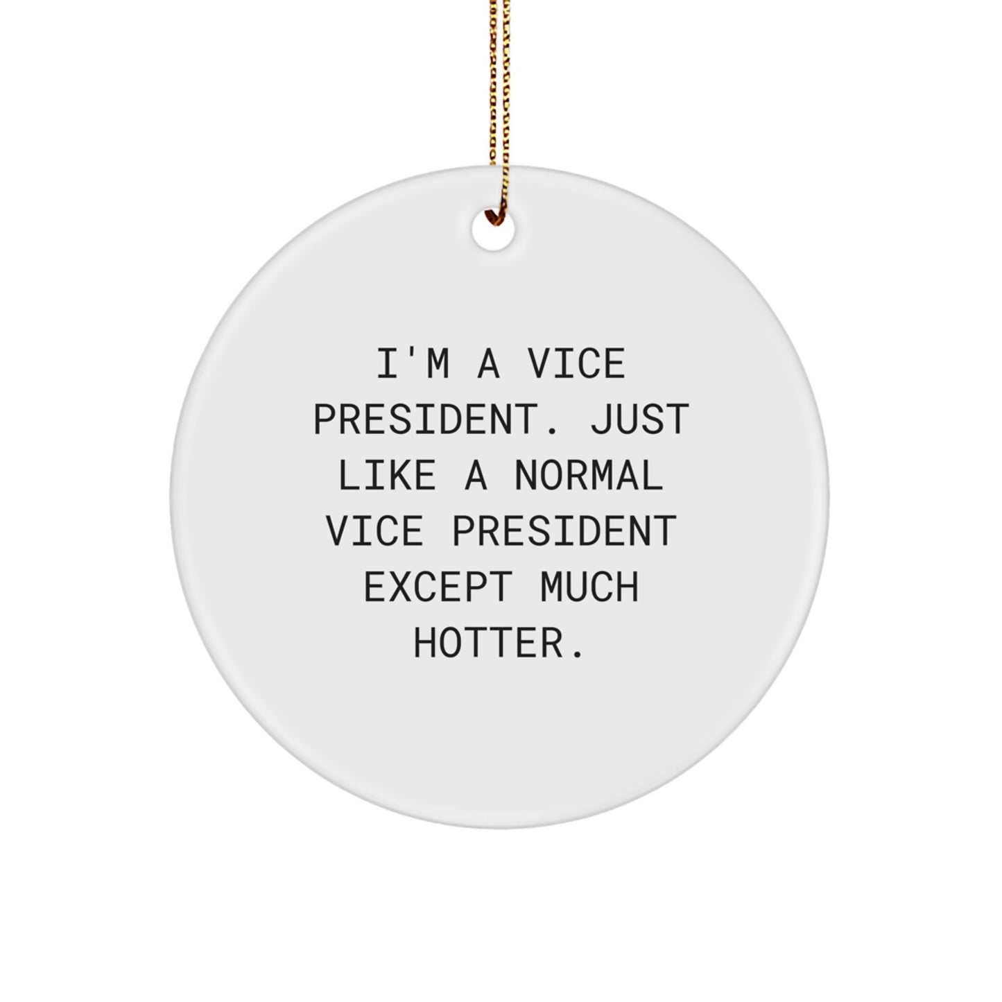 Funny Vice President Christmas Unique Gifts for Men from Family, Unique Circle Ornament with Humorous Quote, White MDF Material, Perfect for Office Decor - Image 1