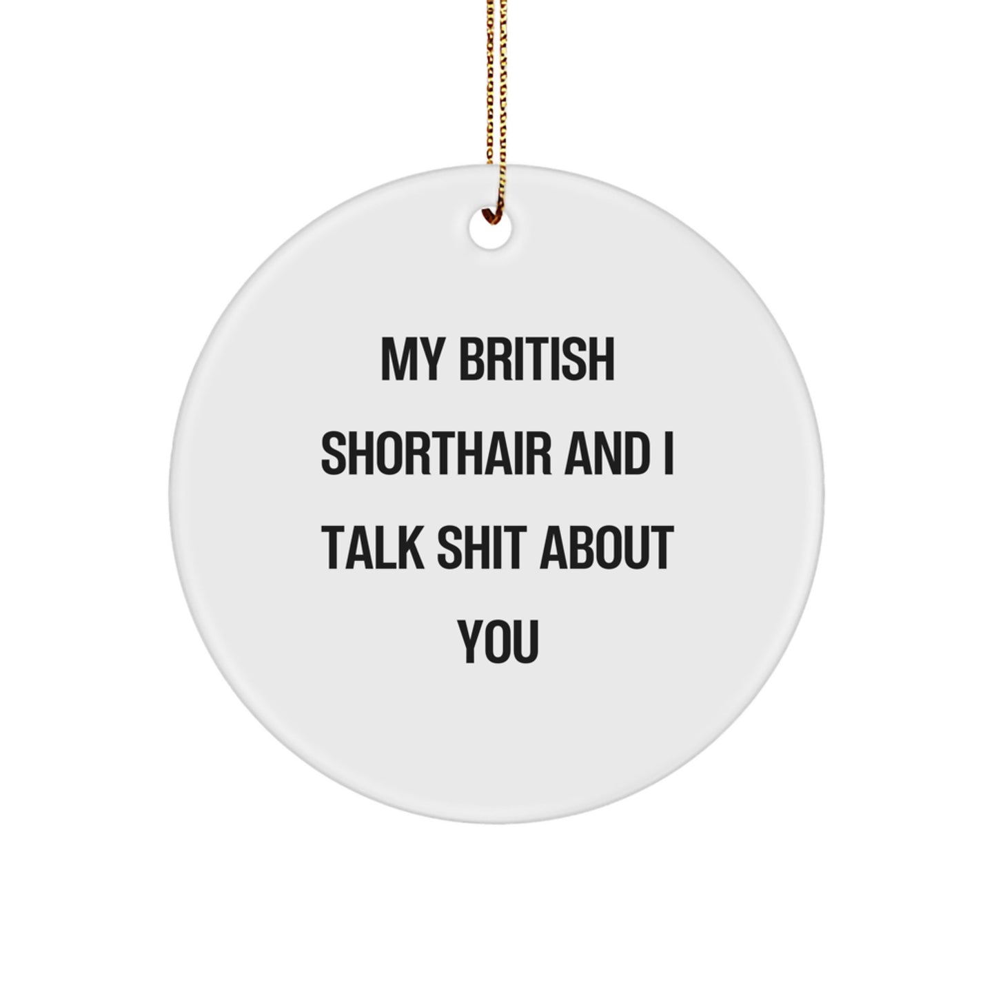 Funny British Shorthair Cat Gifts from Men to Family - Christmas Unique Gifts - Circle Ornament with My British Shorthair And I Talk Shit About You - Image 1