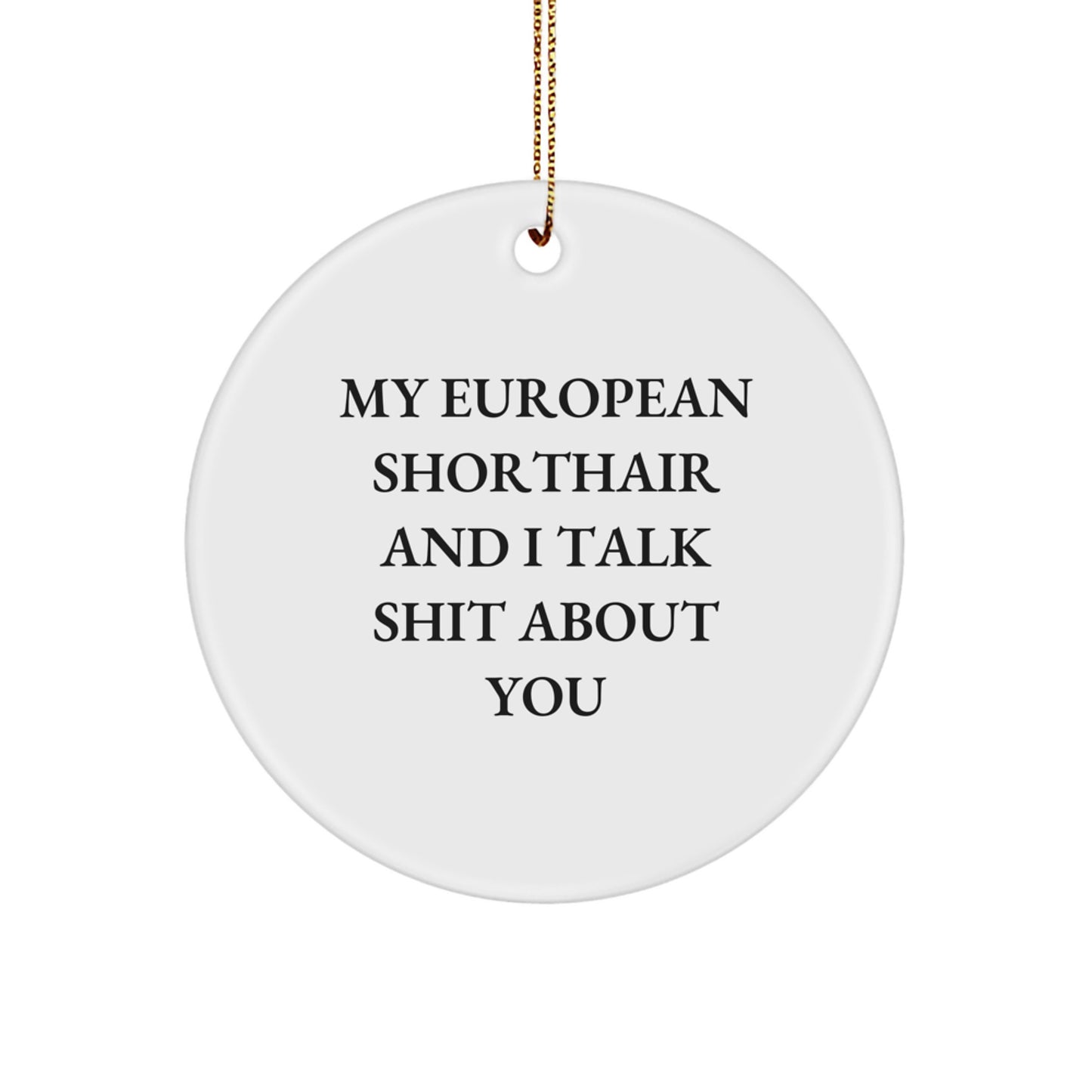 European Shorthair Cat Gift for Friends - Funny Circle Ornament, Christmas Unique Gifts from Family - Image 1