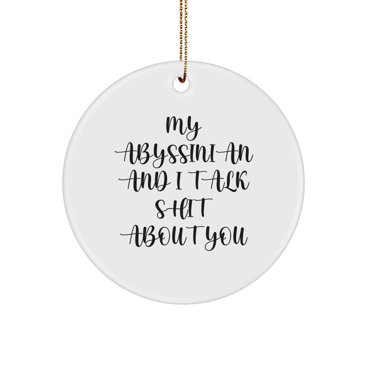 Abyssinian Cat Lover Gifts from Friends and Family - Funny Circle Ornament for Christmas Unique Gifts, My Abyssinian And I Talk Shit About You Cat Decor - Image 1
