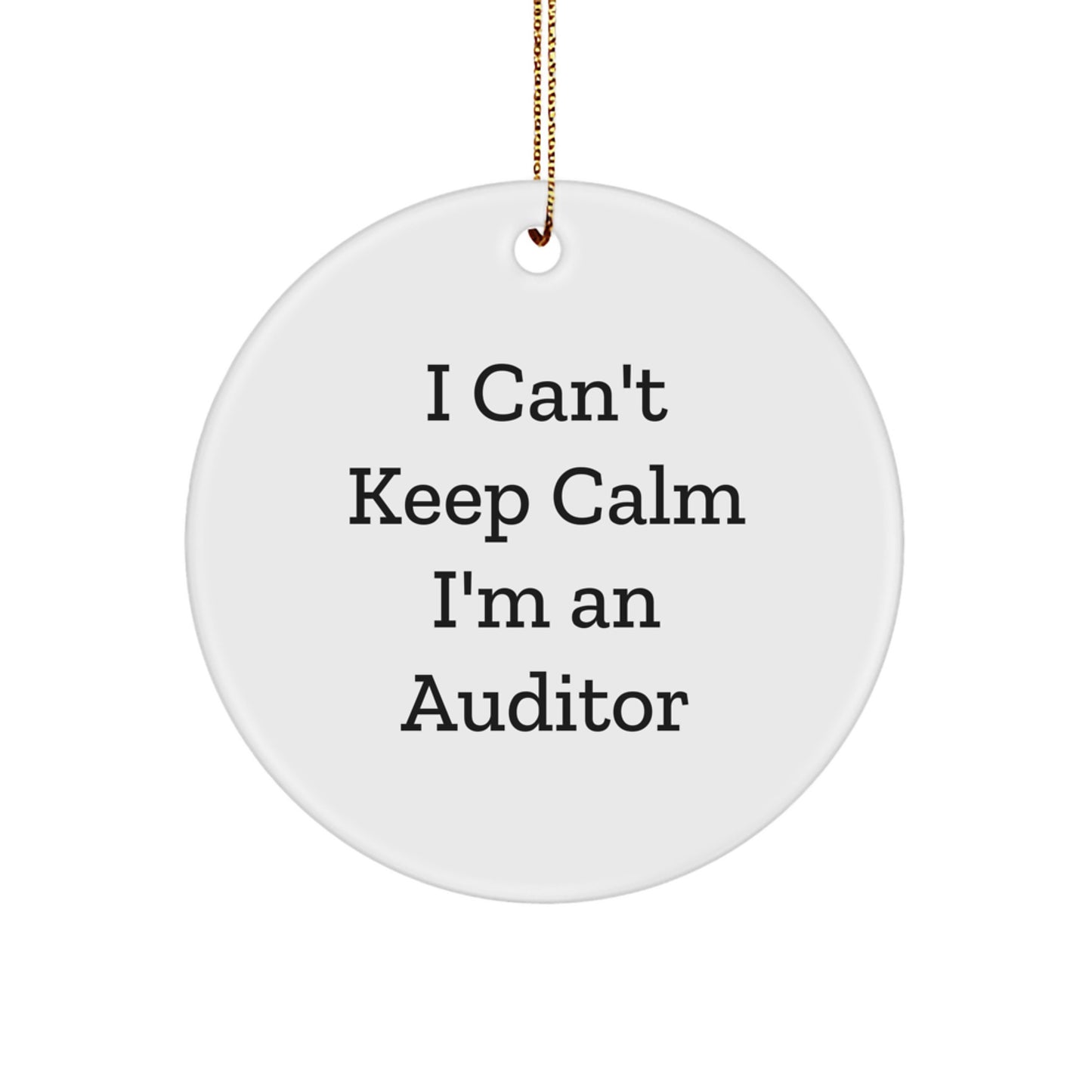 Funny Auditor Gifts for Men, Auditor Circle Ornament Gifts from Friends, Christmas Unique Gifts for Auditor Friends - Image 1
