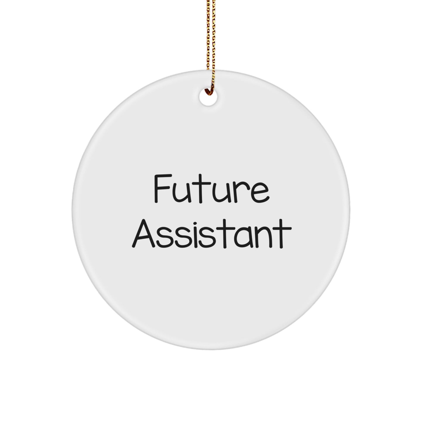 Funny Future Assistant Quotes Circle Ornament Gifts from Family for Christmas - Image 1