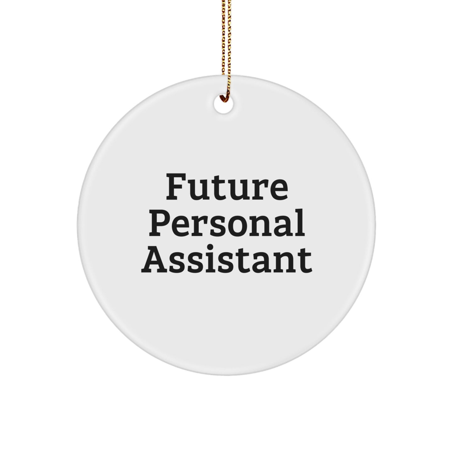 Funny Future Personal Assistant Gifts from Friends for Christmas Circle Ornament Personal Assistants - Image 1